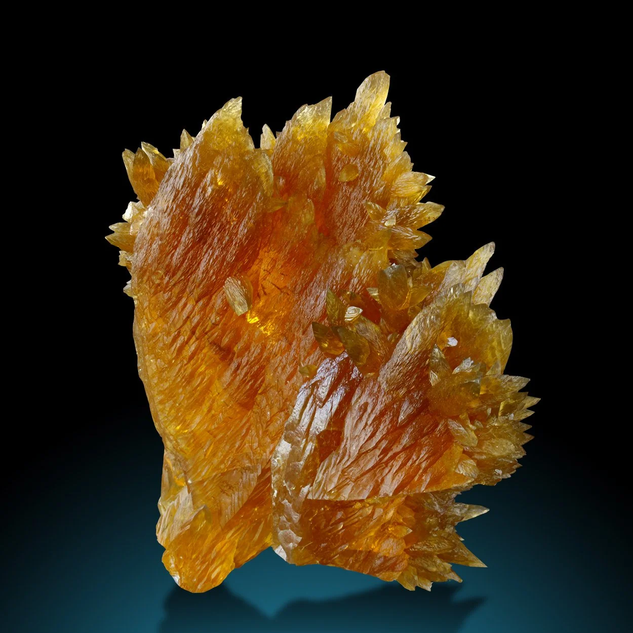 M1357-1 copy Kopie.jpg