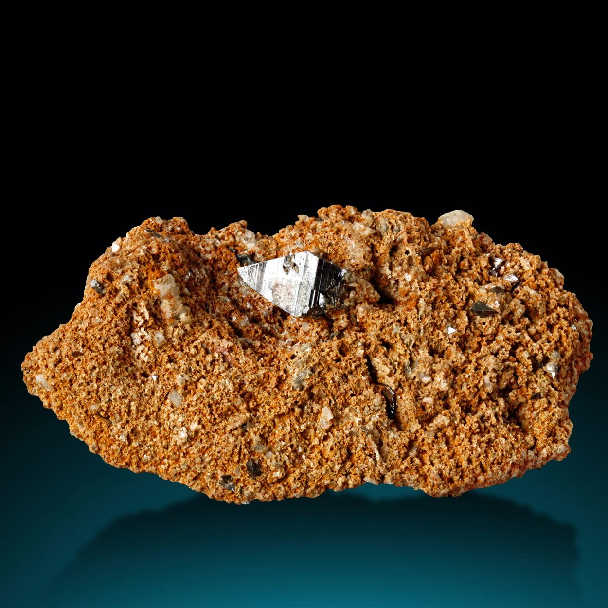 M1343-1 copy Kopie.jpg