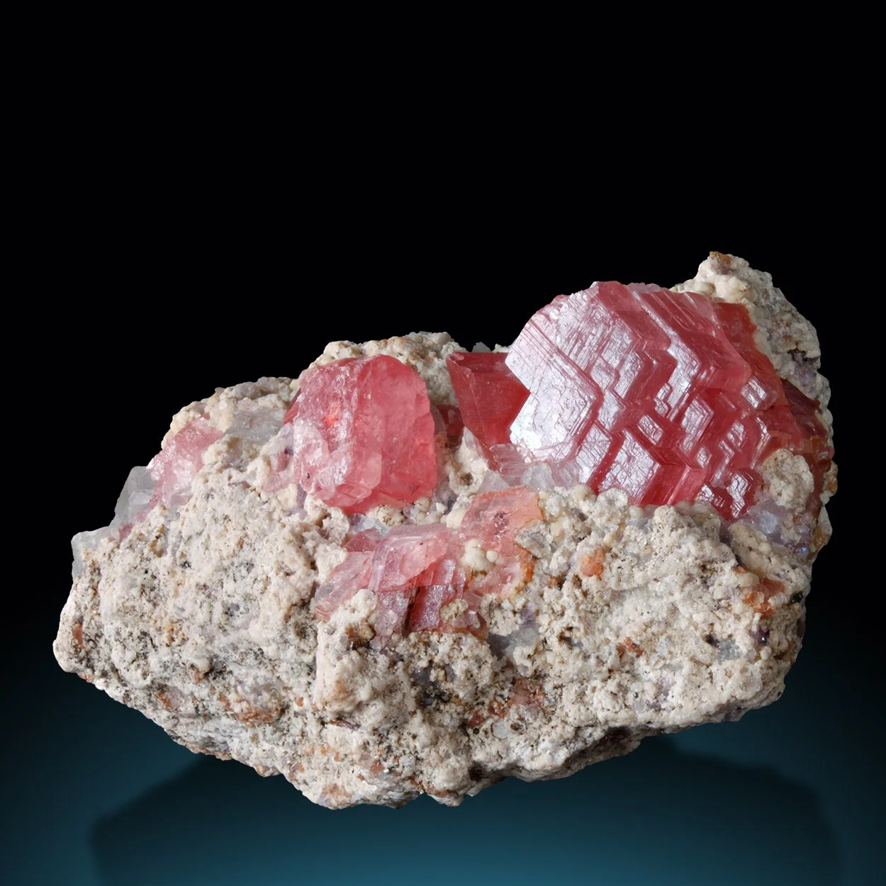 M1341-1 copy Kopie.jpg