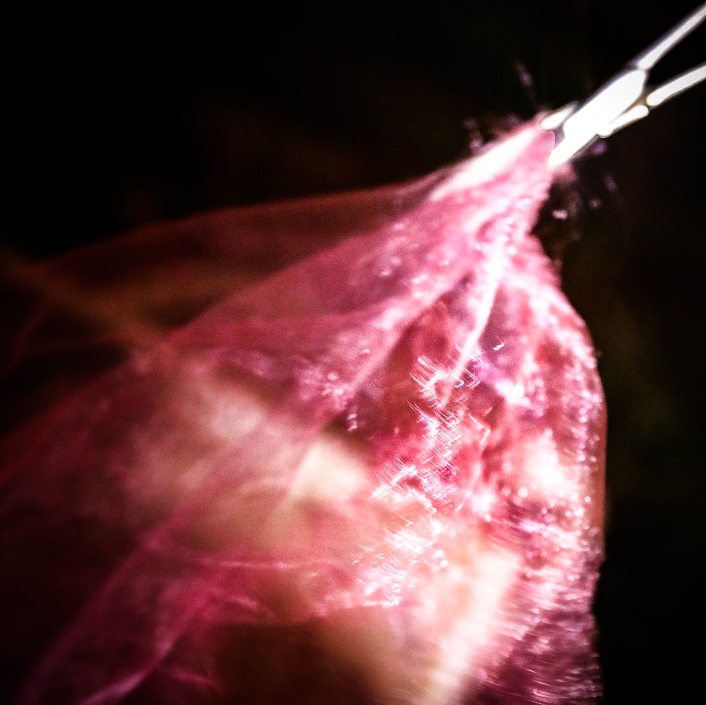 20181204224648_CS1A0844-01。.jpg