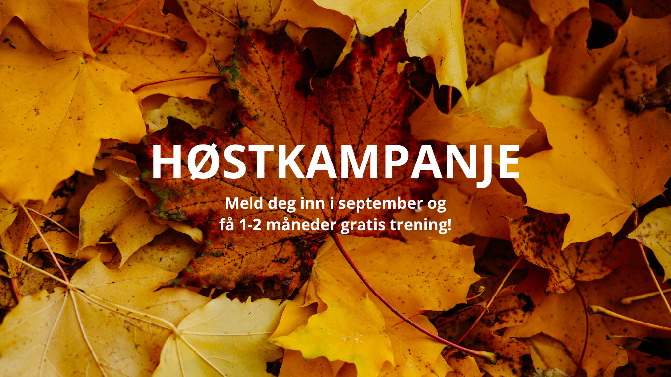 Høstkampanje