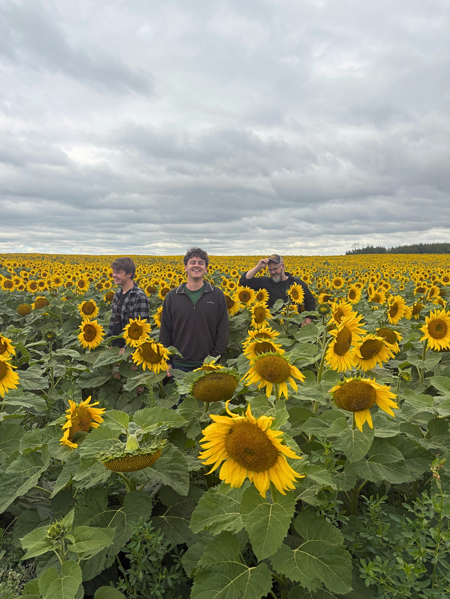 Janzen Boys V2 in the field (portrait).png