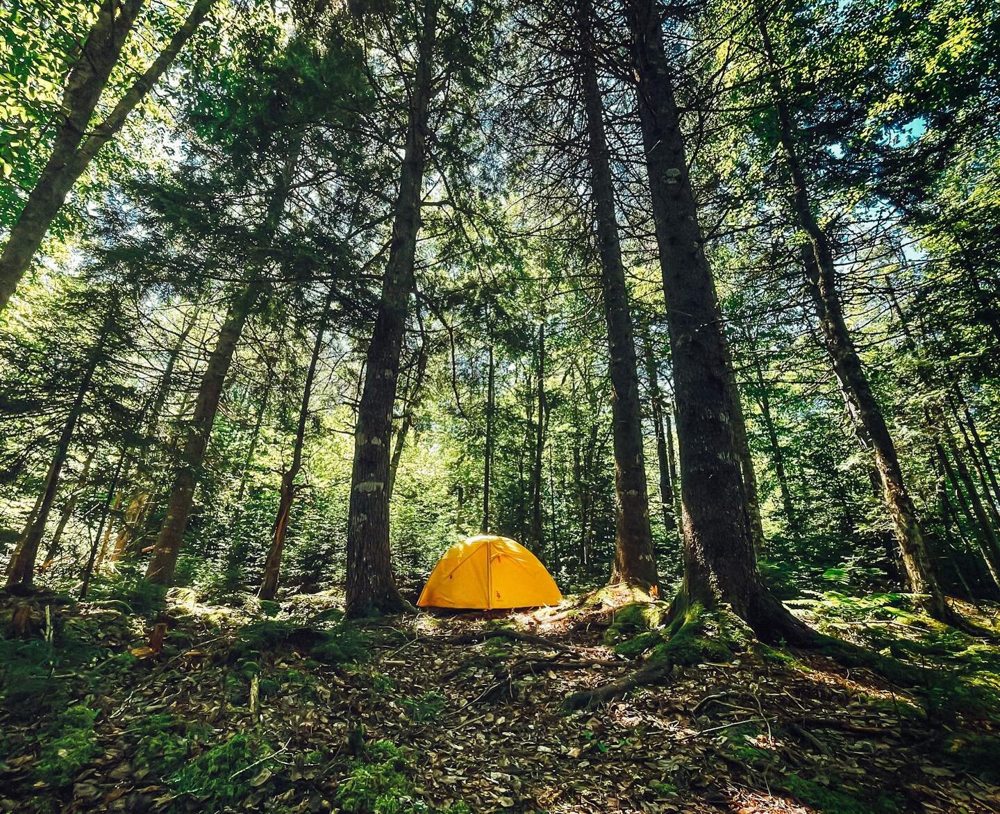 We&rsquo;re starting to map out our tent sites and thought you&rsquo;d all like to see a preview of what they&rsquo;ll look like!🏕

Tag your camping buddies in the comments!
.
.
#stayatseek #truronovascotia #getoutside #campinglife #tentcamping #nov