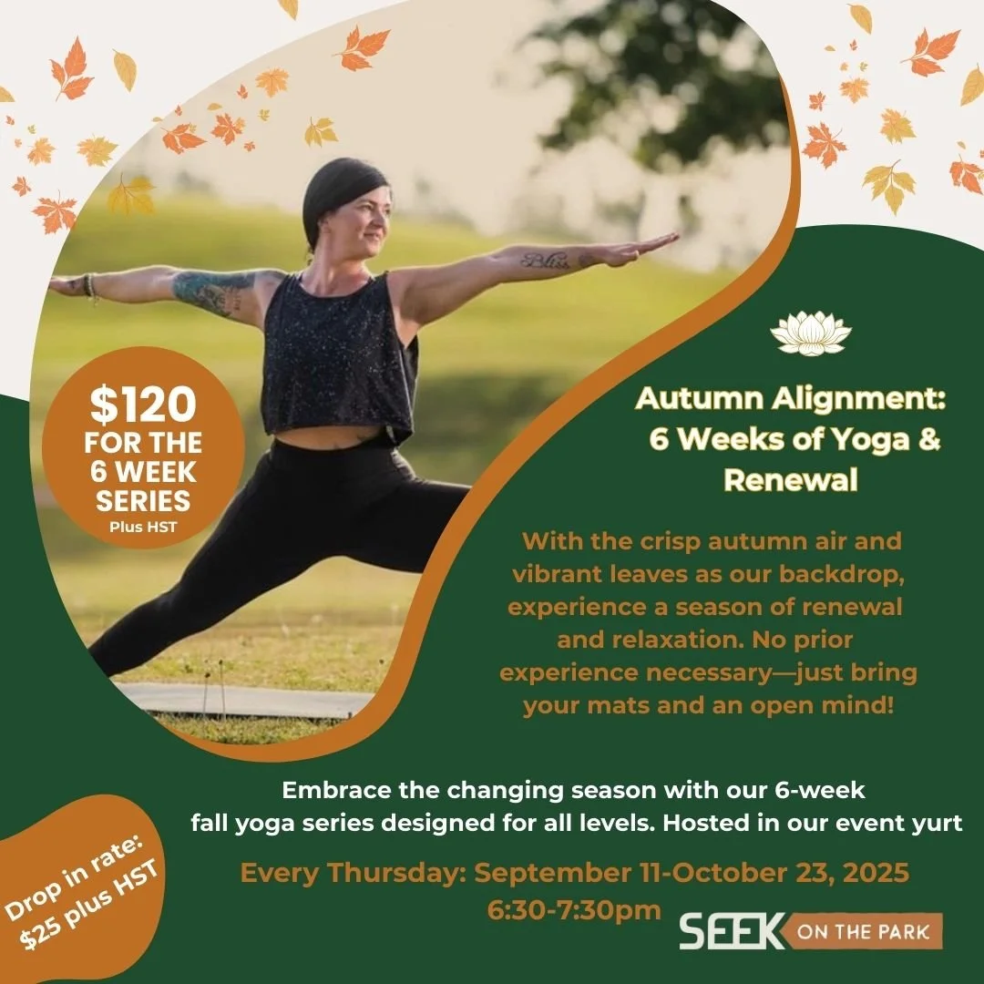 Autumn Alignment: 6 Weeks of Yoga & Renewal