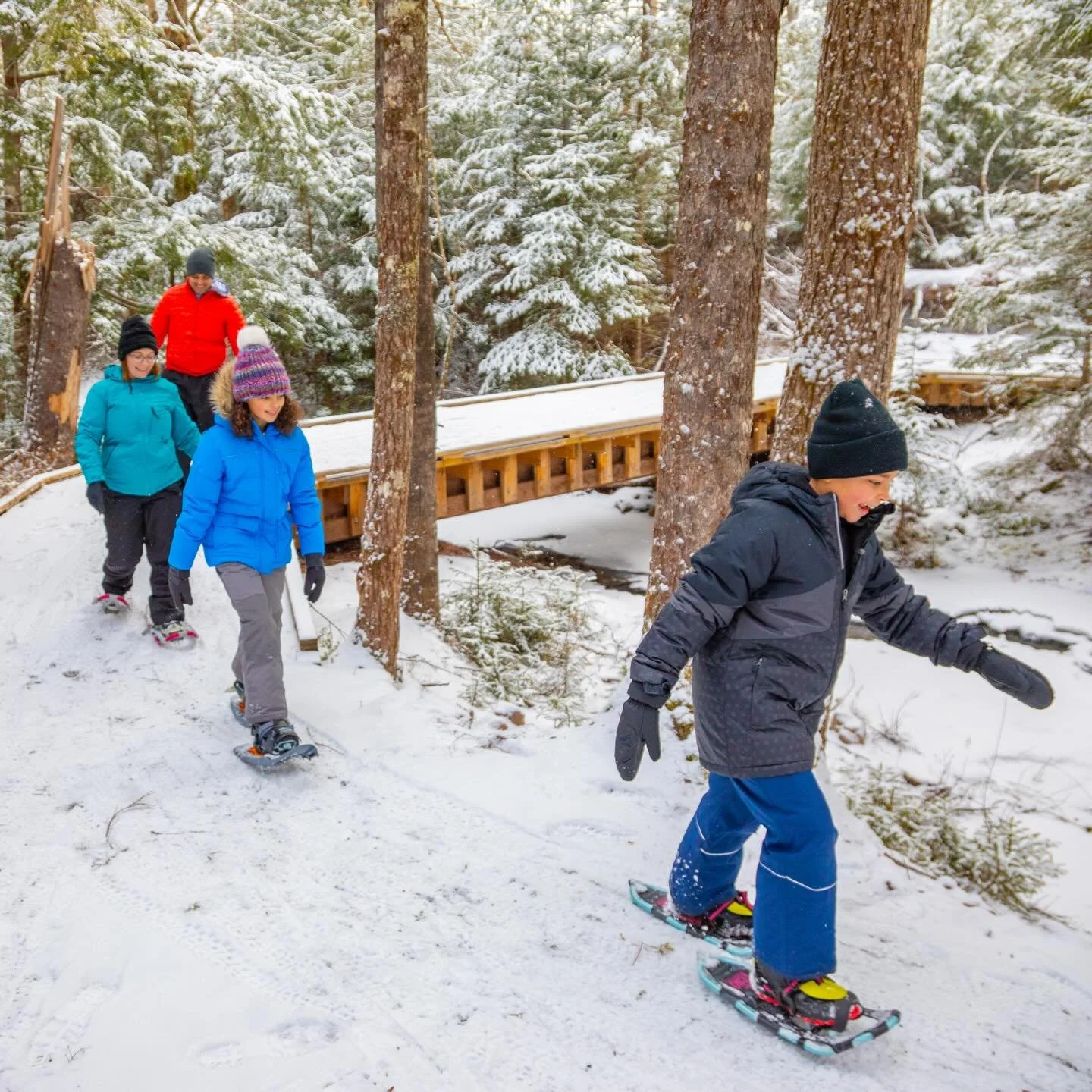 Winter activity season is officially here and we could not be more excited! ❄️From cross country skiing, to snowshoeing, hiking, skating and more, the @truro_prc winter equipment loan program is back, making winter fun much more accessible! ⛸️⛷️We li