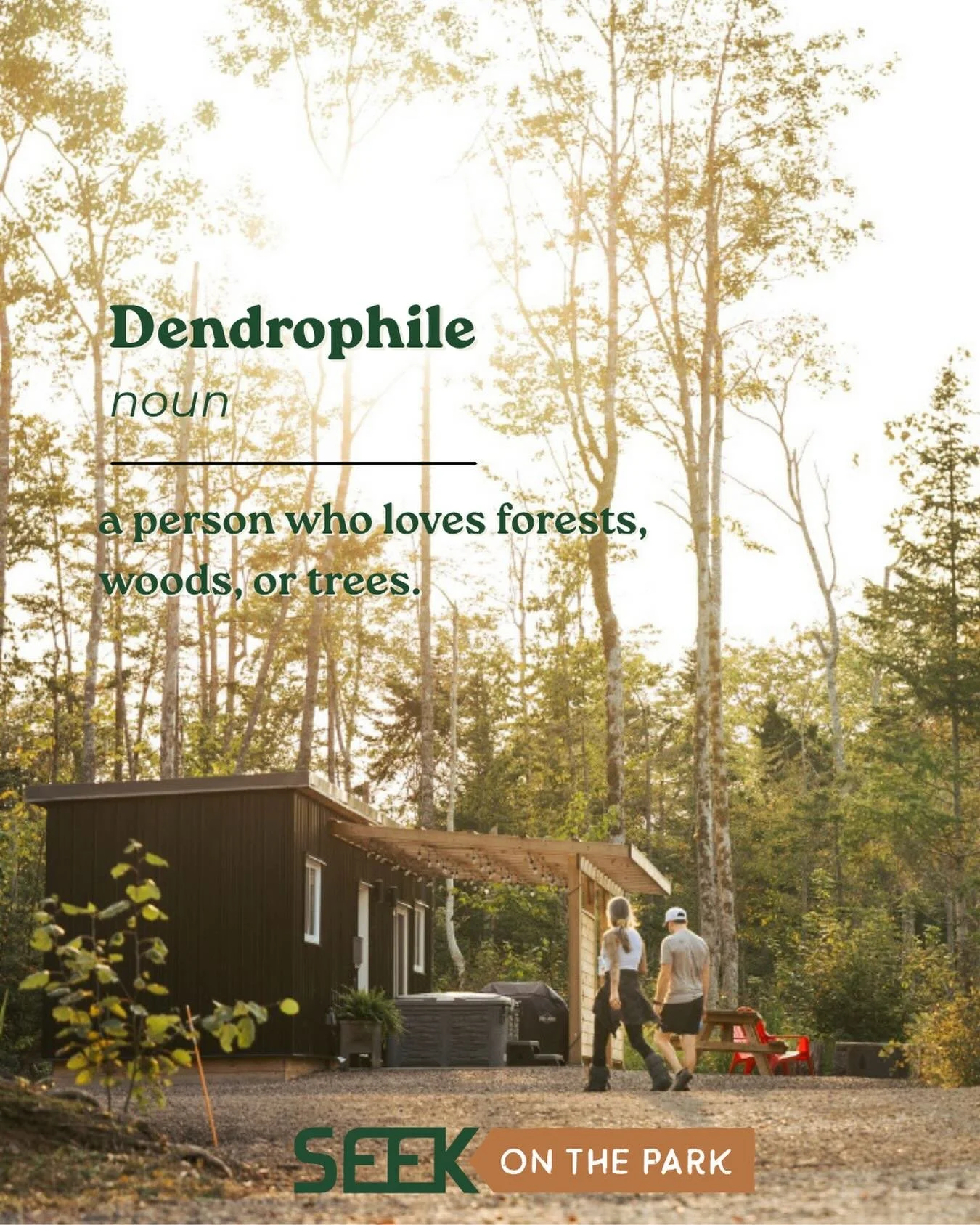 We identify as Dendrophiles. 🌲 Comment or share if you do too! #stayatseek #forest