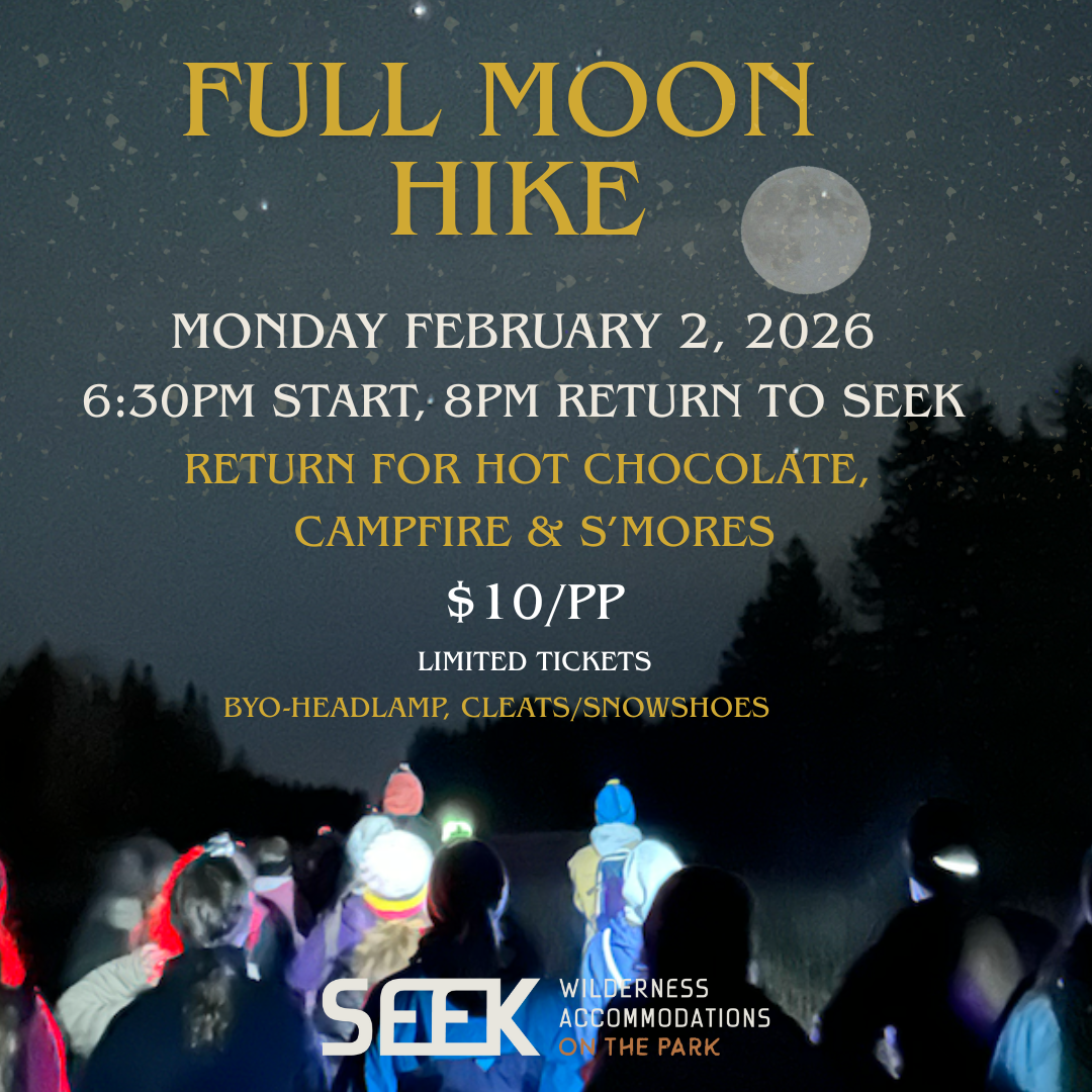 Full+Moon+Hike+%281920+x+1080+px%29+%281%29.png