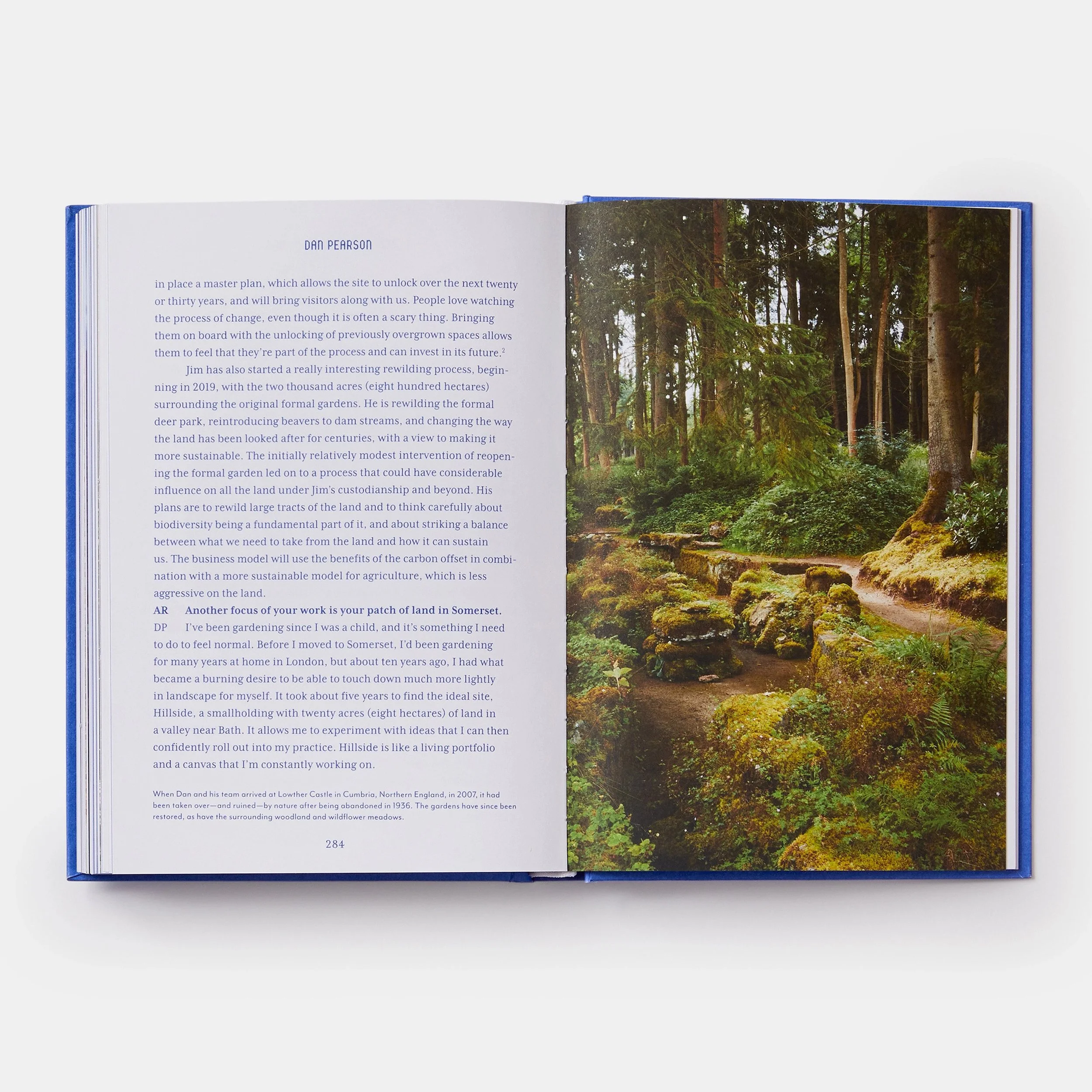 Photo of the inside pages of Design Emergency book with text on the left page and an image of a forest on the right