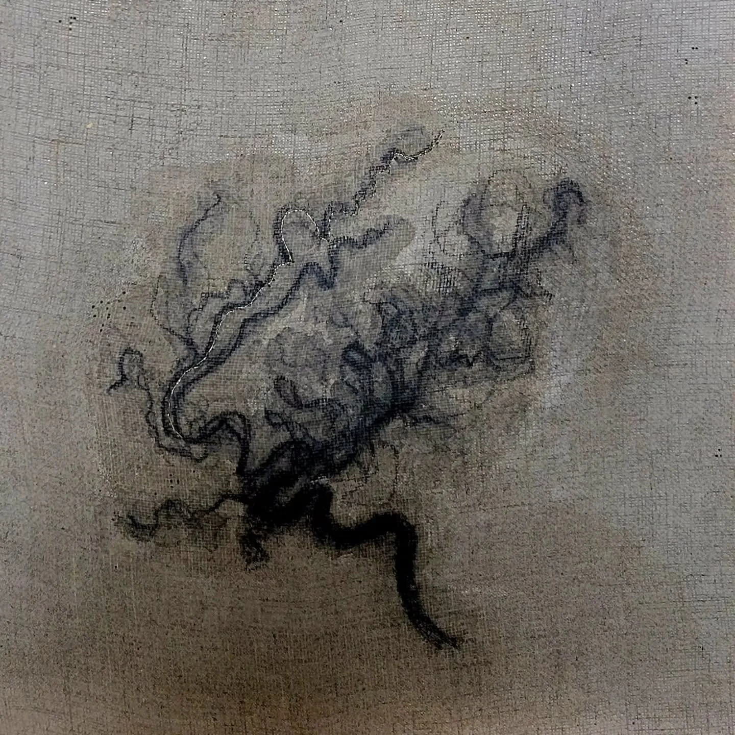 I enjoyed drawing my first brain so much that I am making an even teenier tinier version for the Confetti exhibition @atelierseagrandon this winter.  Just started embroidering this little one 🖤

#angiogram #graphite #embroidery #linen #rabbitskinglu