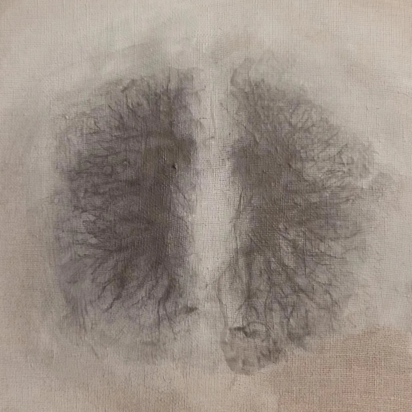 This tiny one (just over 6x6 inches) is dry and ready to be embroidered.

#graphite #rabbitskinglue and #acrylic on #linen