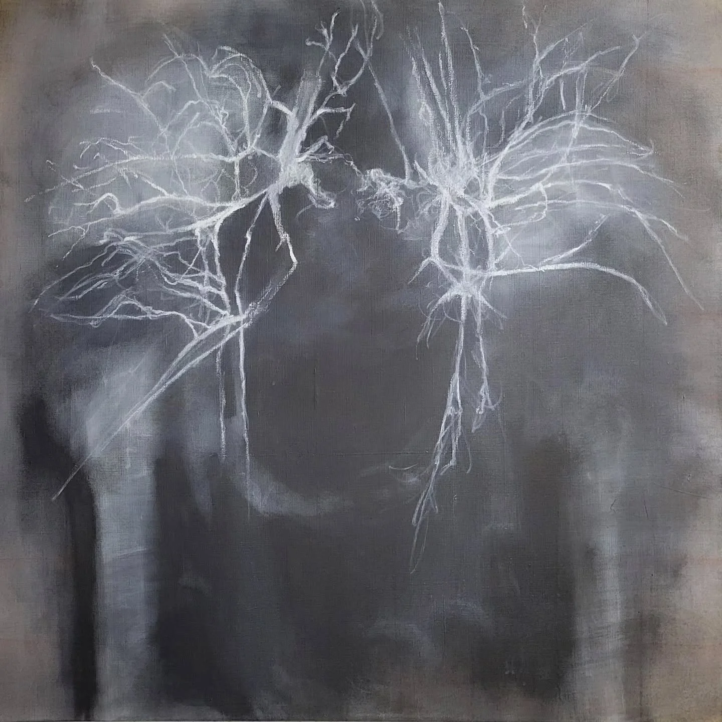 In progress
#pelvis #arteriogram #graphite #oilonlinen
