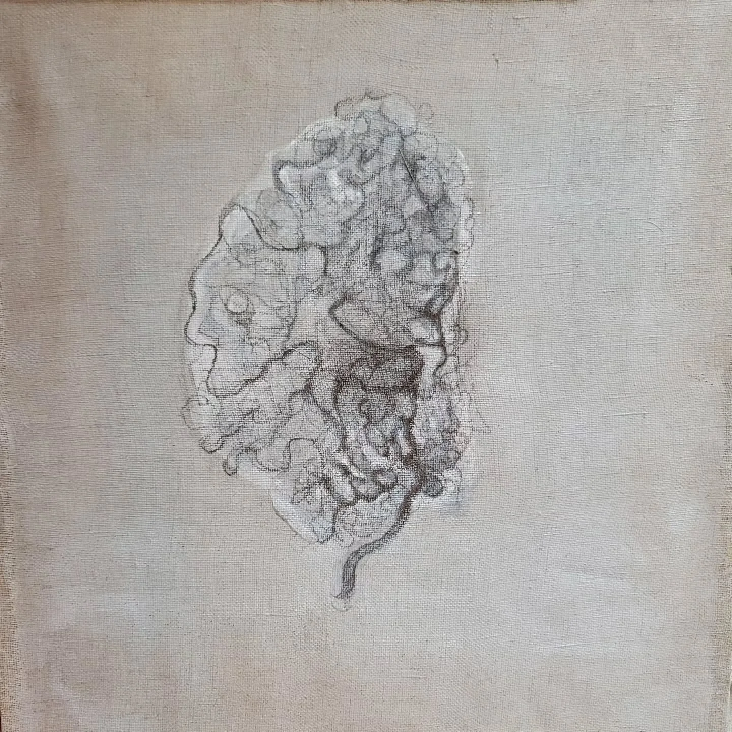 Watching (American) football and drawing a brain on linen that I will later embroider. Go Birds 🦅💚

#graphite #linen #angiogram