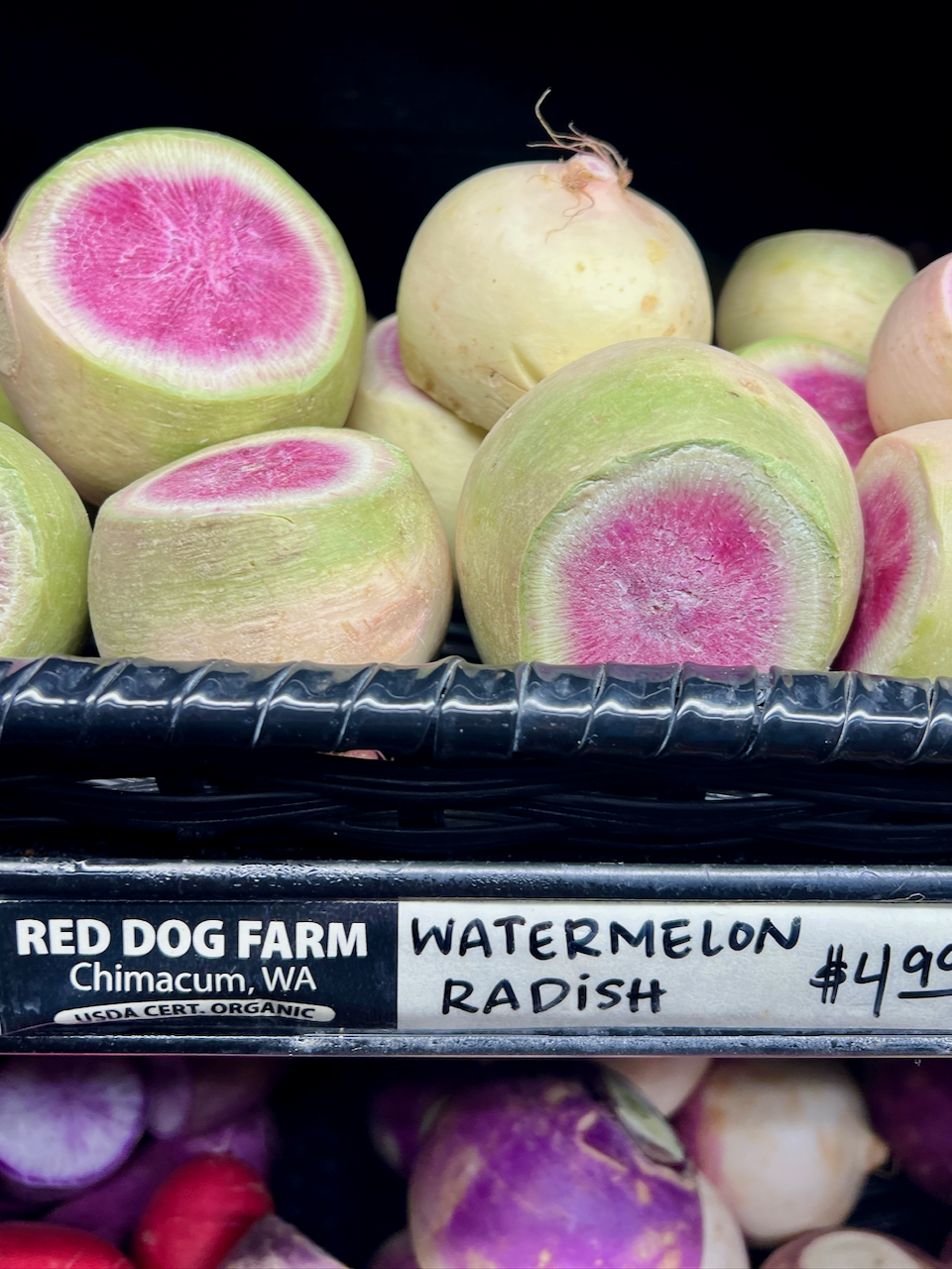 Watermelon Radish.png
