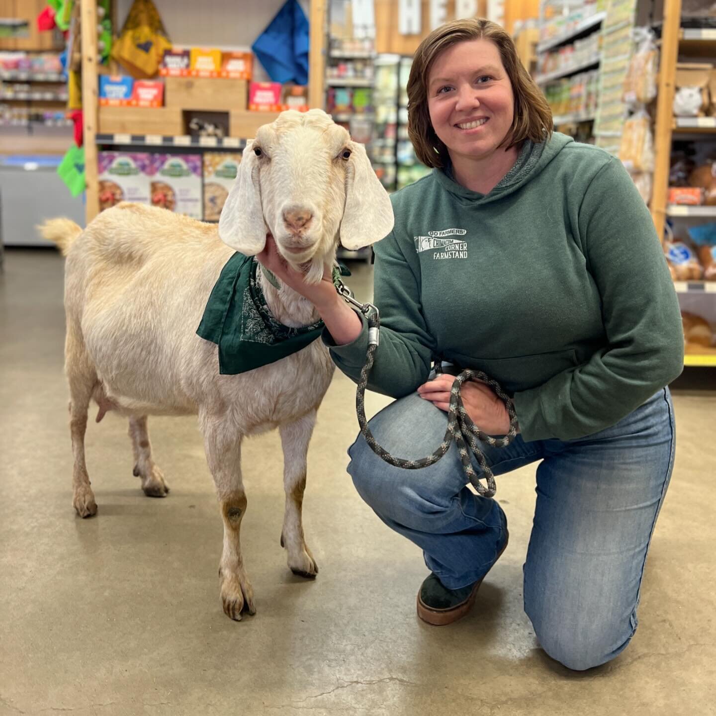 Did you catch Blossom and @farmernicole at opening day of the Port Townsend @jeffcofarmersmarkets ?!
.
.
Blossom made the rounds along with her other goat friends from @groundcontrolgoats spreading cheer and consuming lots of farm fresh treats. Thank