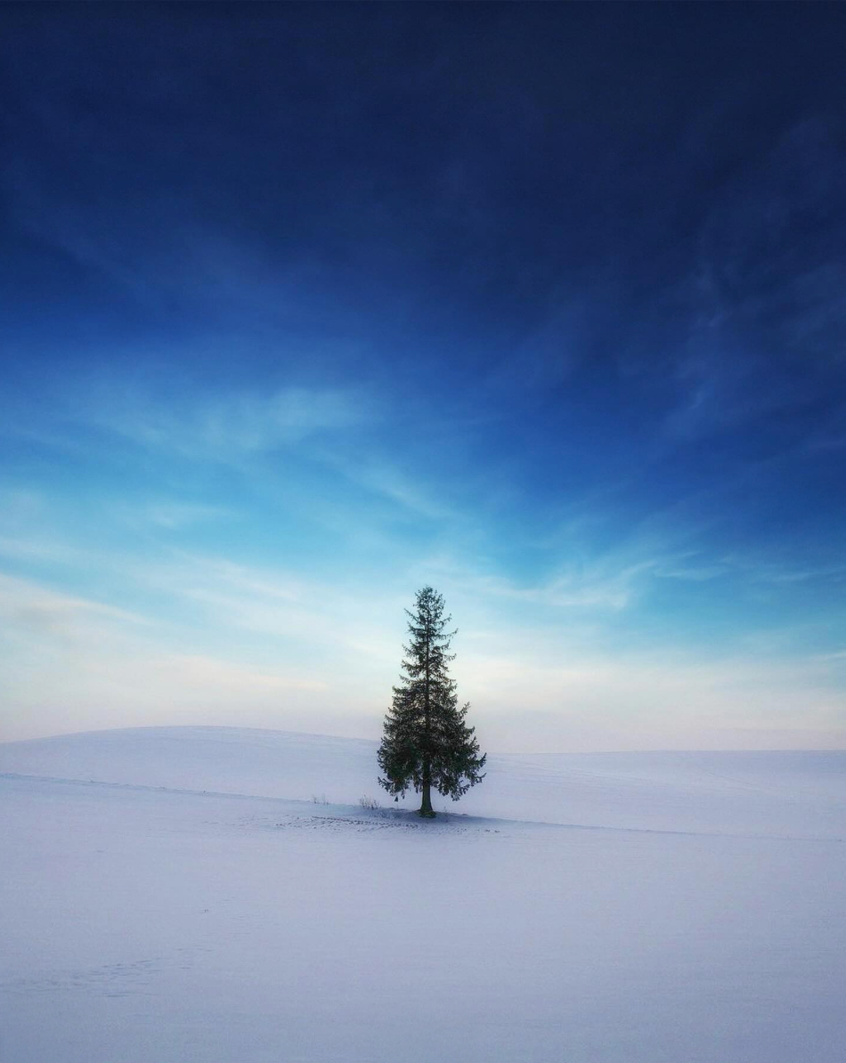 The Season of Good Cheer or Loneliness?