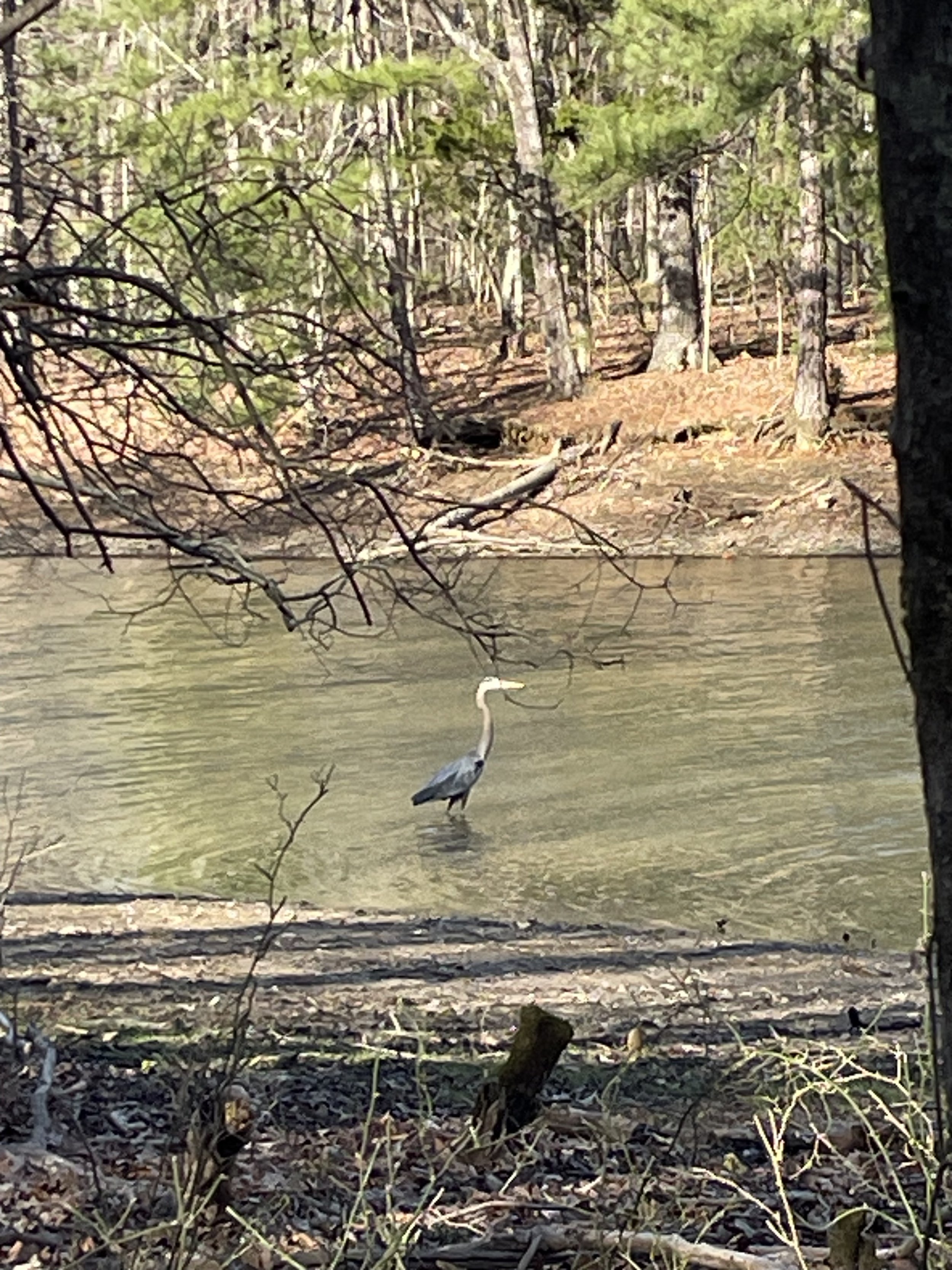 IMG_7424.jpeg