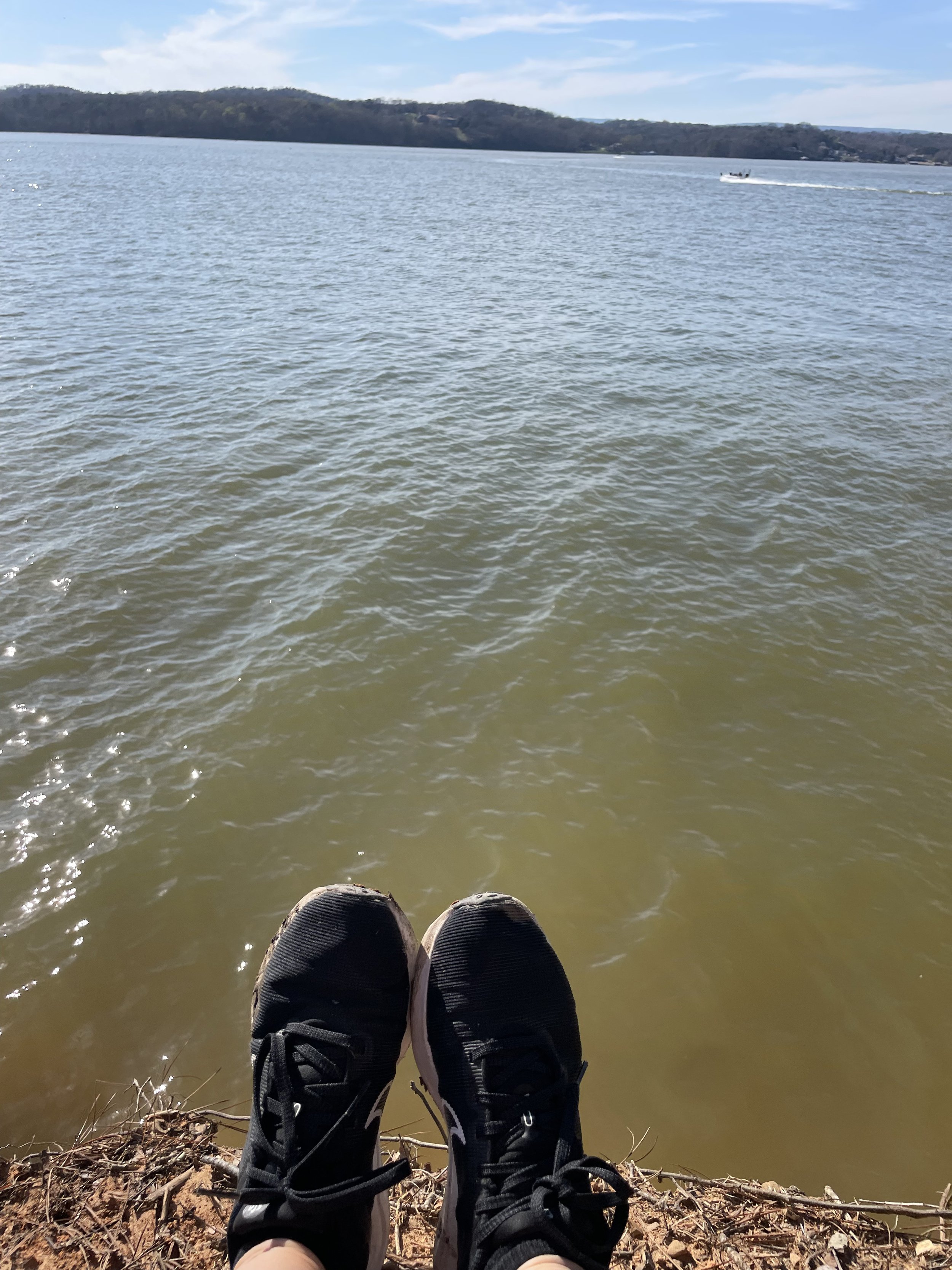 IMG_7420.jpeg