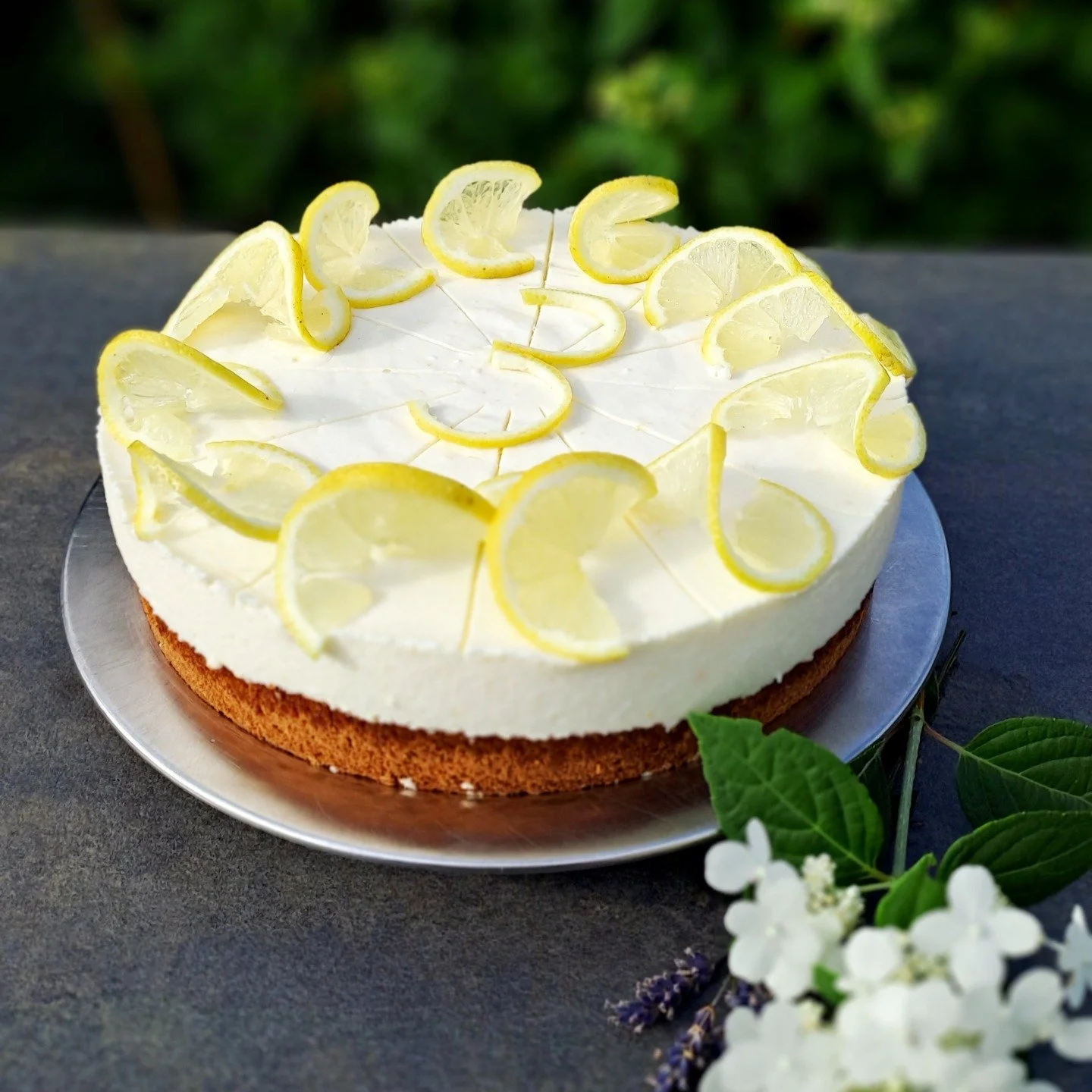 🎉 3 Jahre Caf&eacute; Dorfm&auml;del - voller Kaffee, Kuchen &amp; Herzensmomente! 🎉

Eure Besuche, euer Lachen und eure Unterst&uuml;tzung bedeuten uns mehr, als Worte sagen k&ouml;nnen. 🙏
✨ Auf viele weitere Jahre voller Genuss, Gemeinschaft und