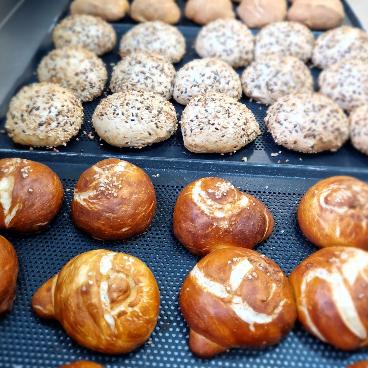 Br&ouml;tchenduft liegt in der Luft - Genie&szlig;t sie zum Fr&uuml;hst&uuml;ck 😋

#cafe_dorfmaedel #steisslingen #hegau #lakeofconstance #br&ouml;tchen #laugenbr&ouml;tchen #k&ouml;rnerbr&ouml;tchen #fr&uuml;hst&uuml;ck #selbstgemacht #yummyfood #b