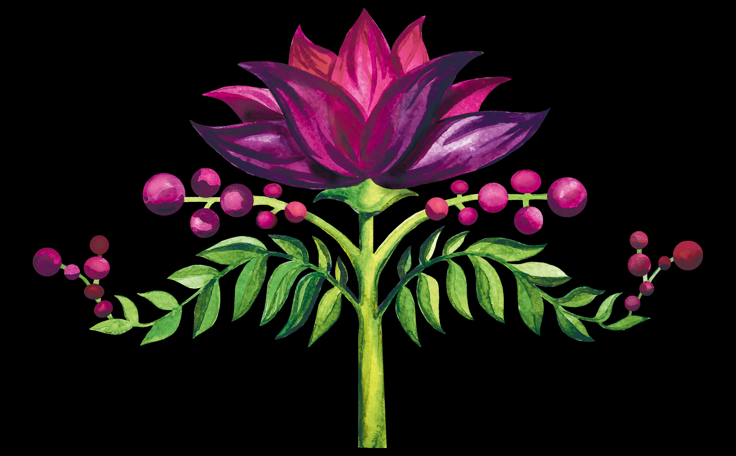 flower_of_vexation.png