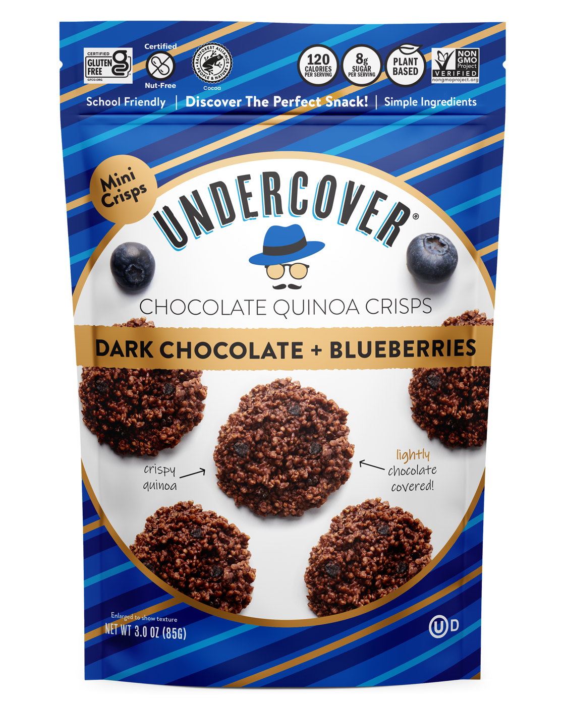 undercover_blueberry.png