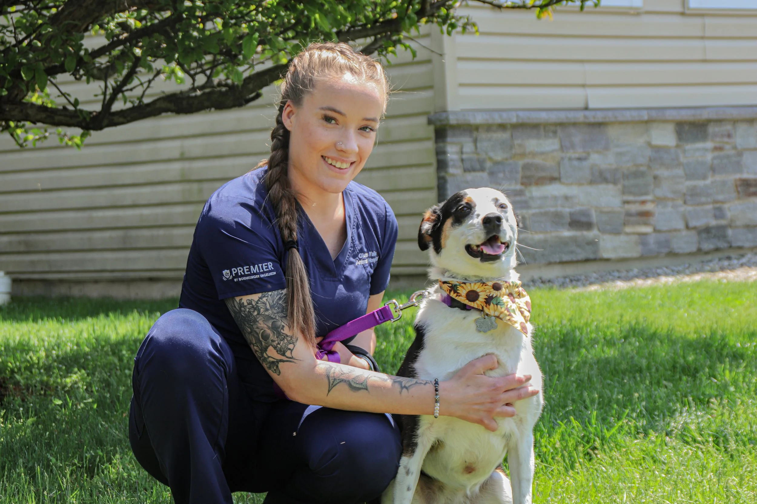 About Us — Glens Falls Animal Hospital