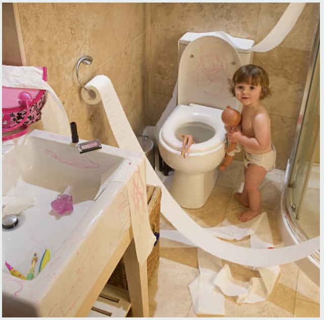 Pause DON’T Pounce