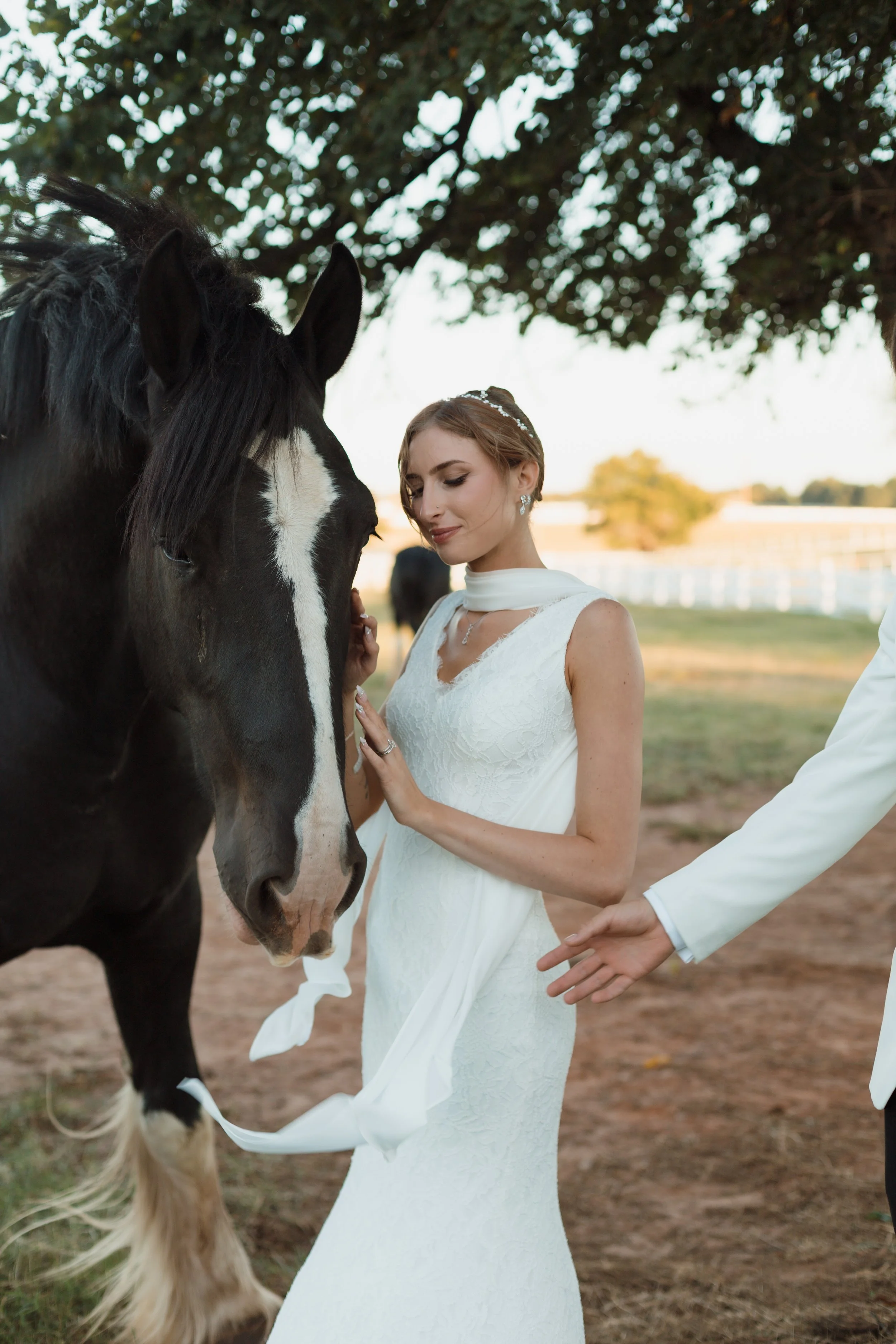 Bride Portrait with Horse at Express Ranch Wedding in Oklahoma