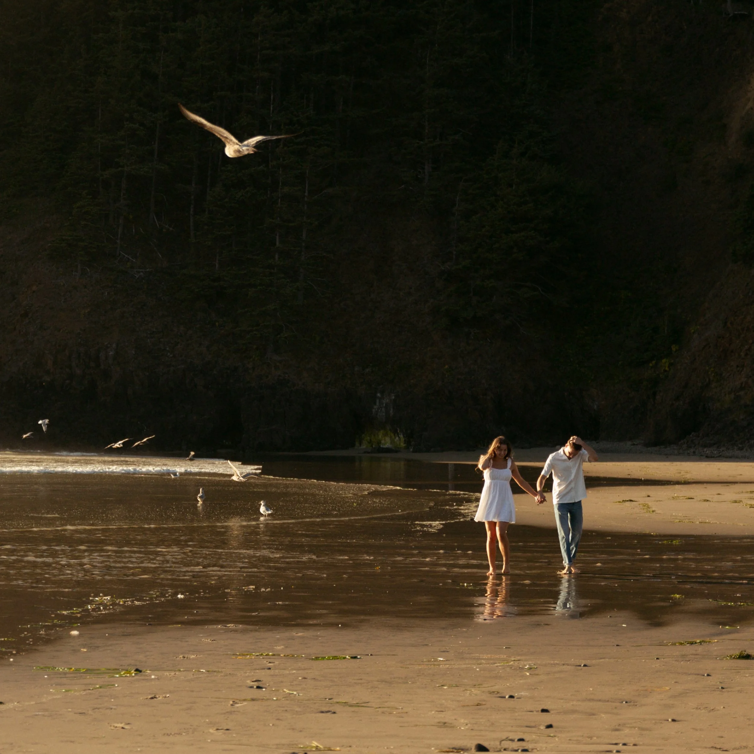 COUPLES + PORTRAITS