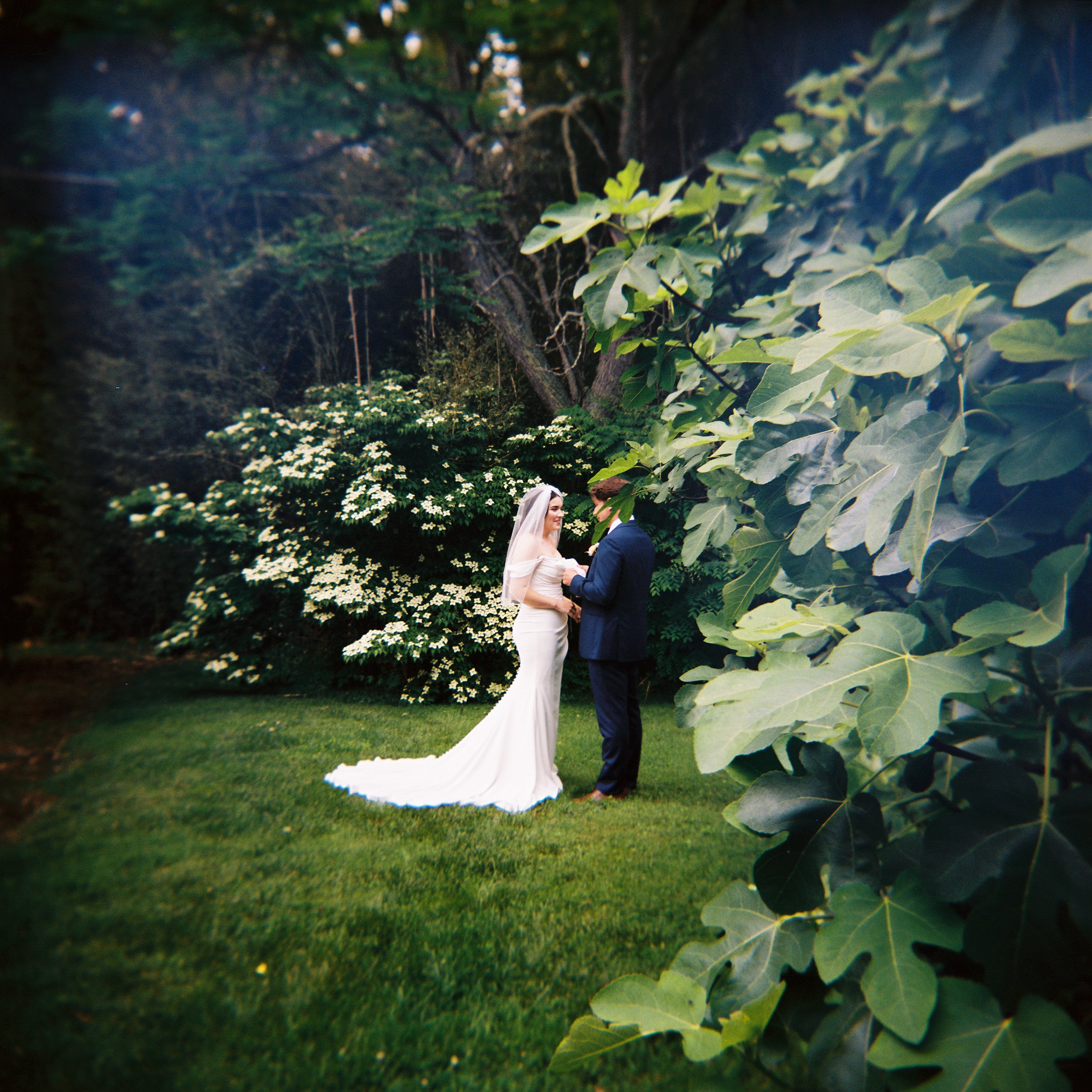 FILM