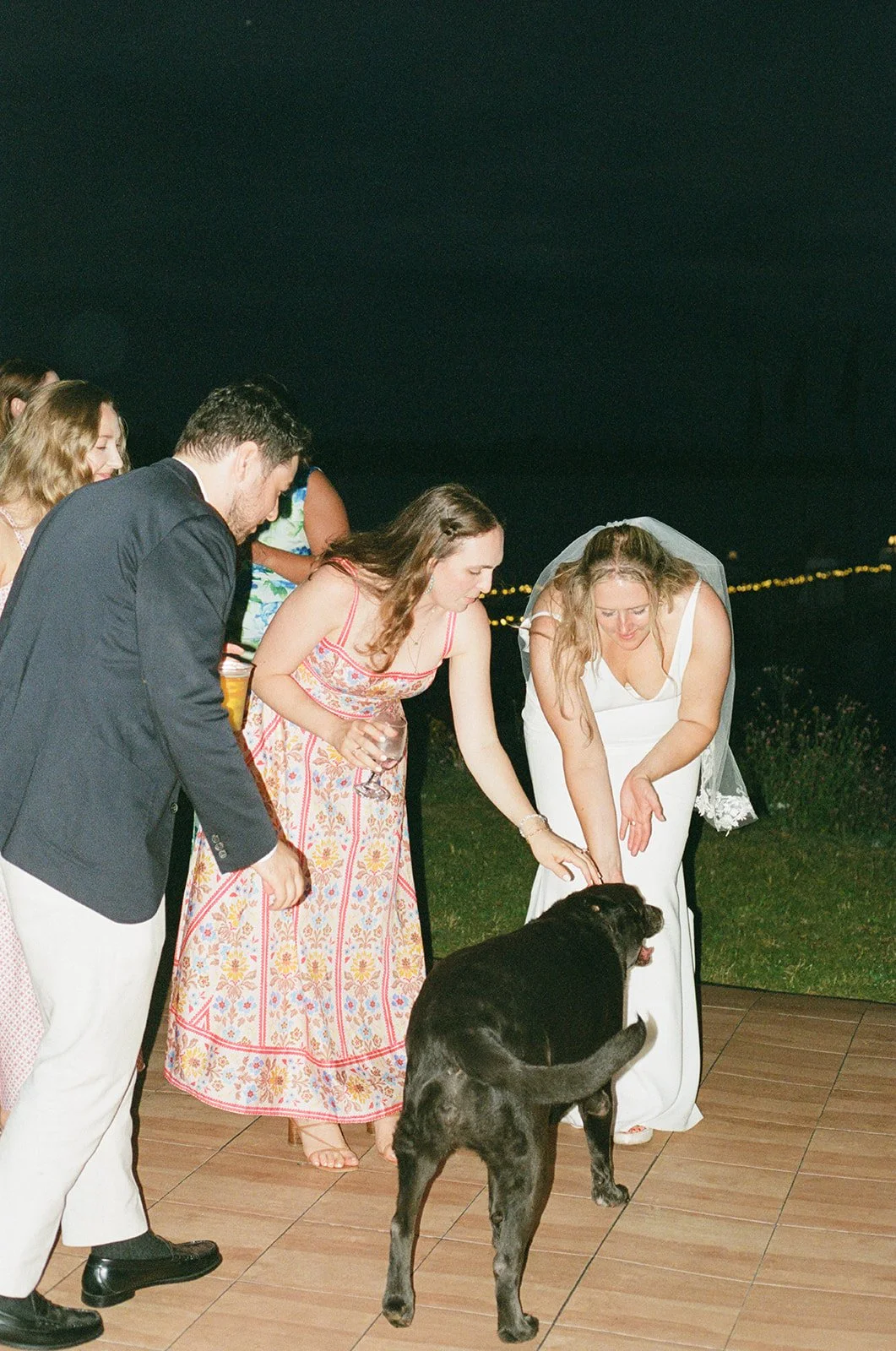 Bella Genovesi Photography - Kaitlin + Hayden Wedding 8.9.25 - 8 The Party-25.jpg