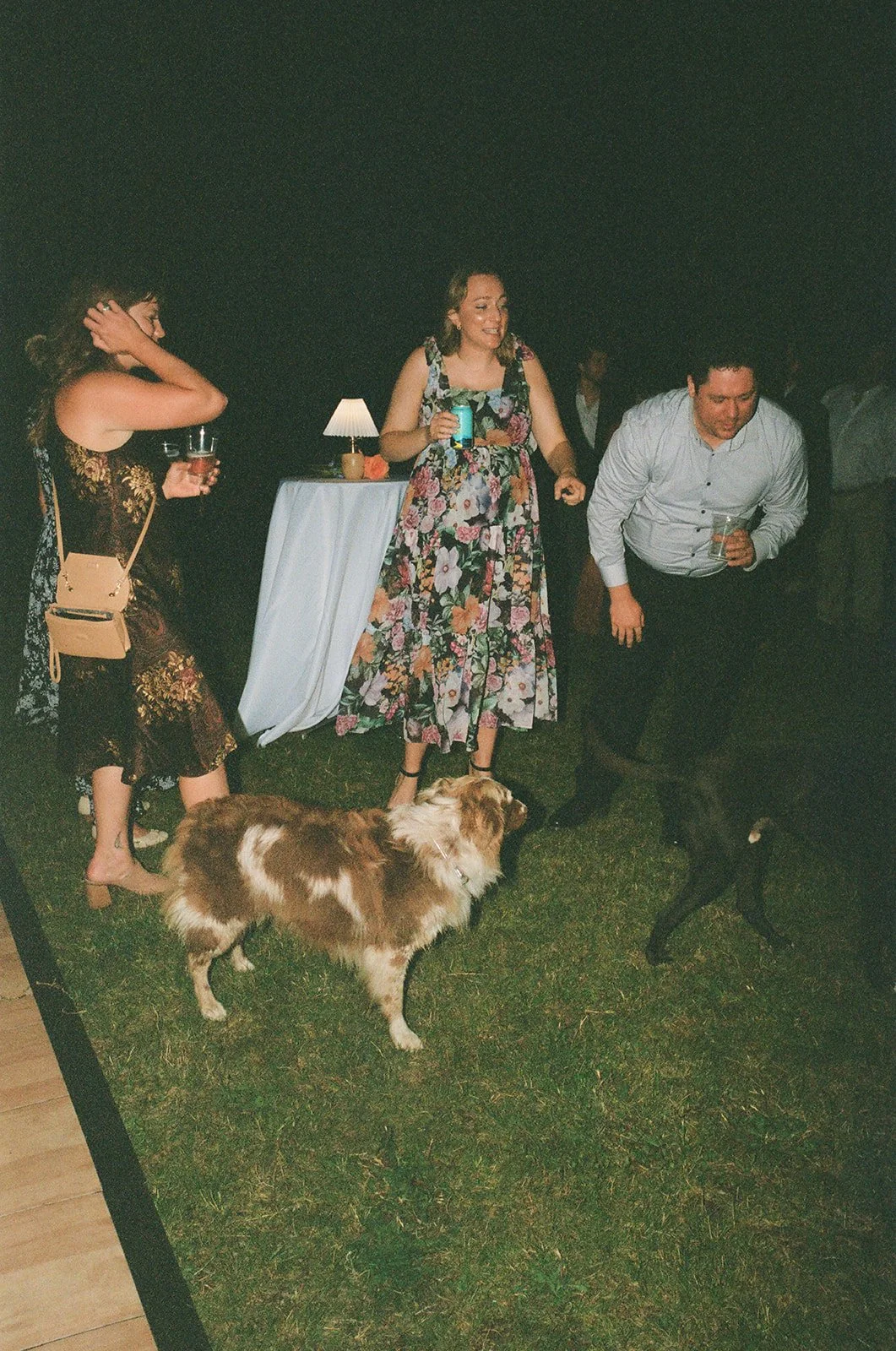 Bella Genovesi Photography - Kaitlin + Hayden Wedding 8.9.25 - 8 The Party-28.jpg