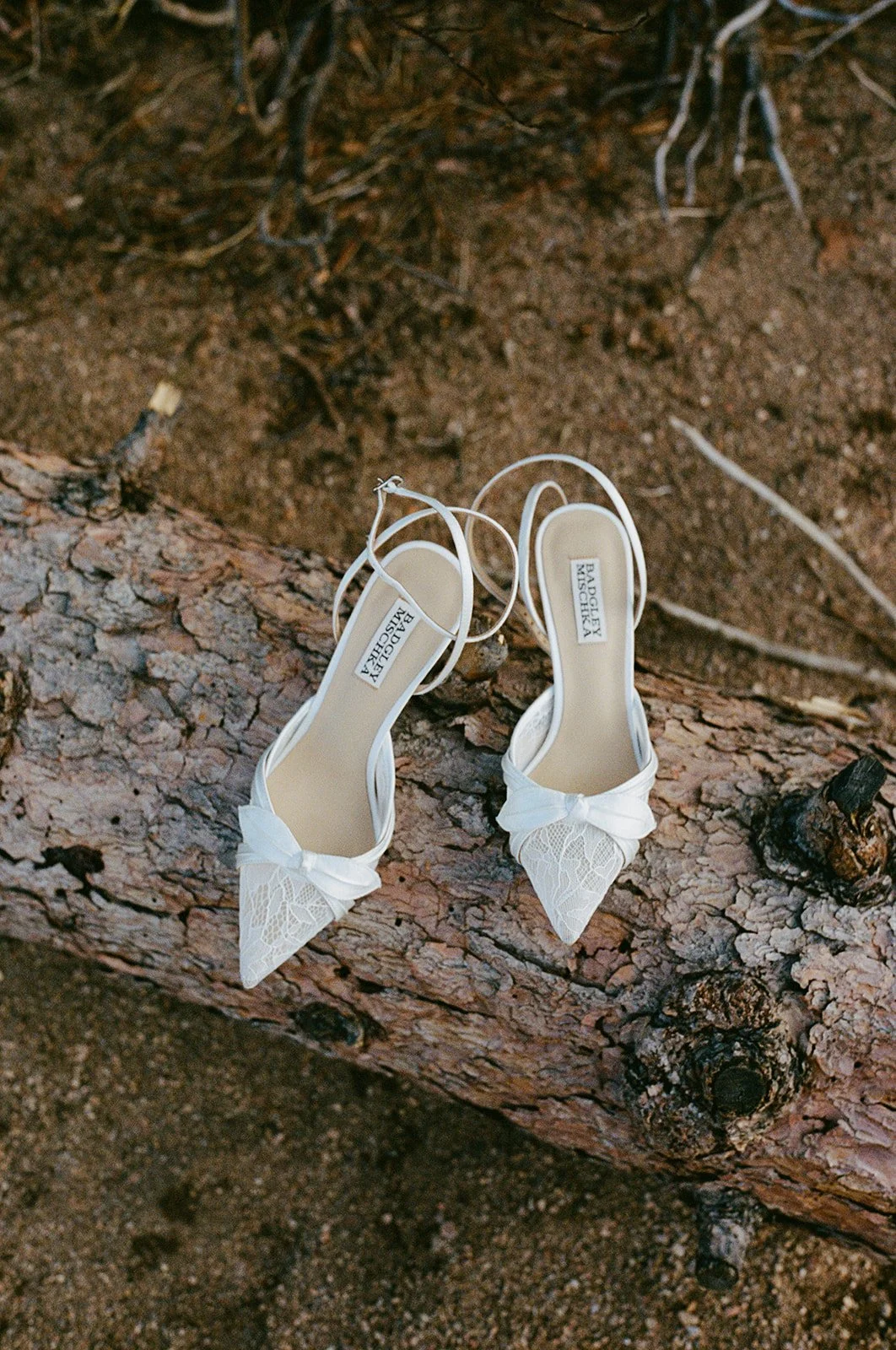 Bella Genovesi Photography - Veronica + Wyatt Elopement 4.12.26-108.jpg