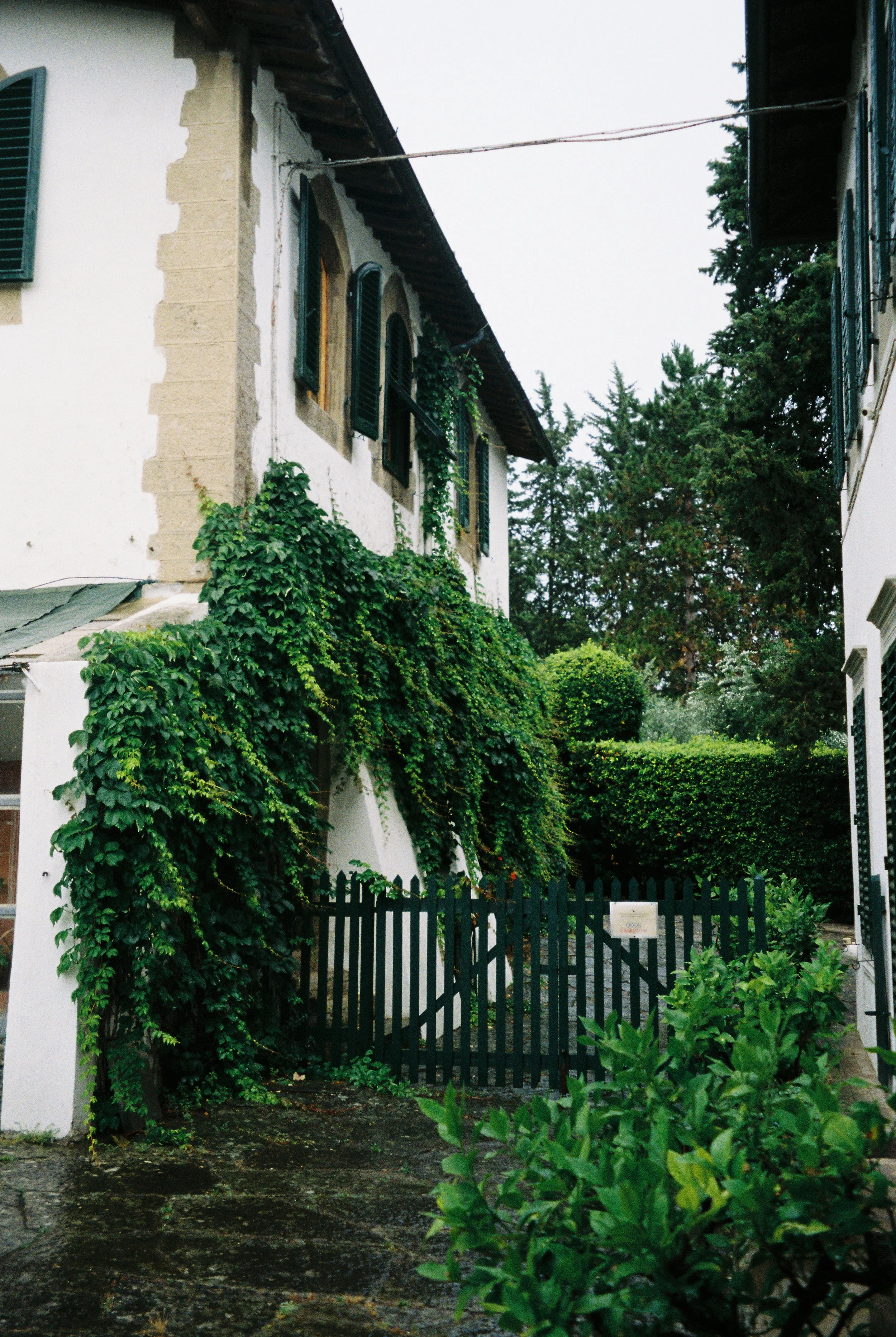 Kelsey + Daniel Wedding FILM.BellaGenovesiPhotography-158.jpg