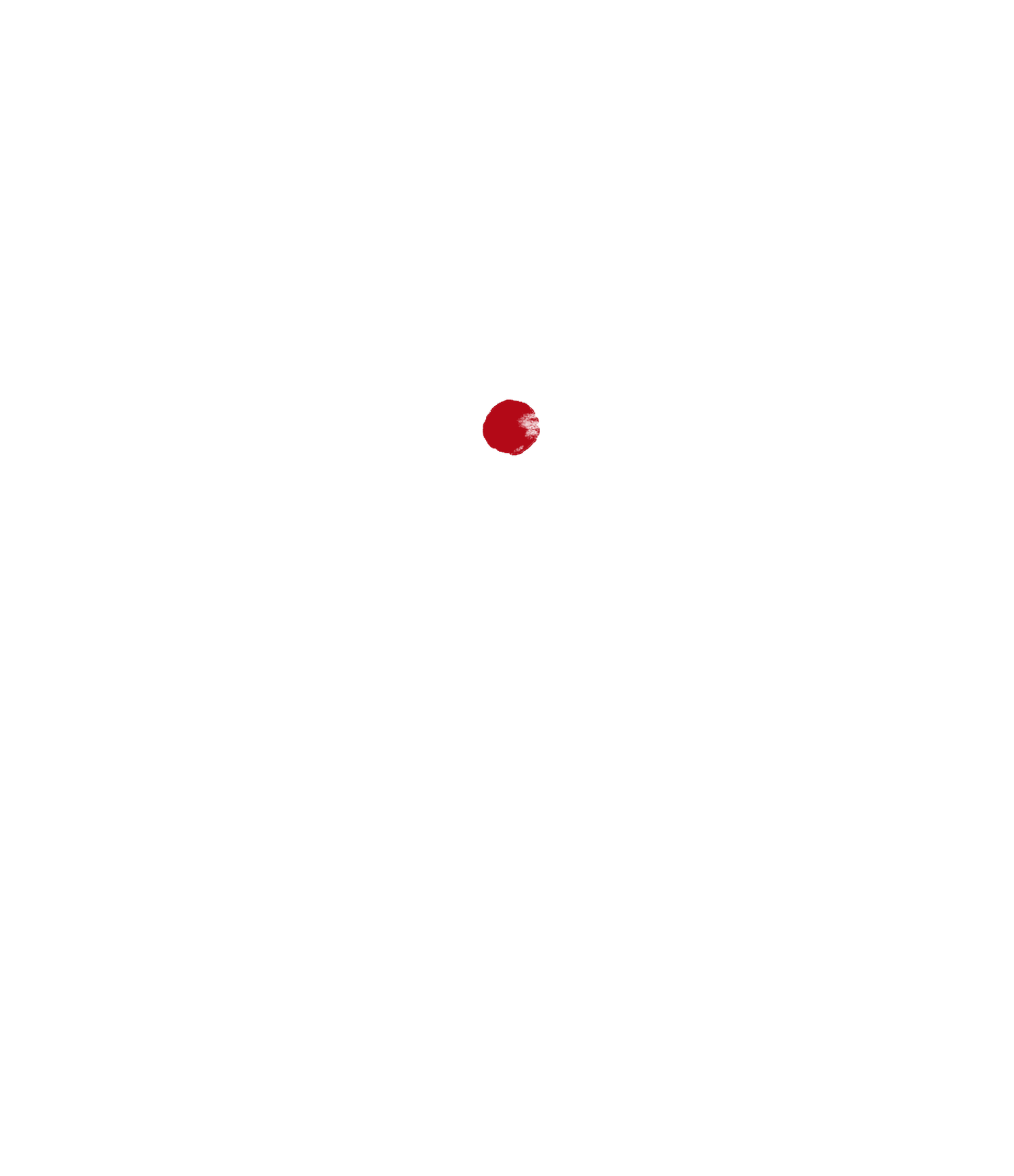 Baramon International