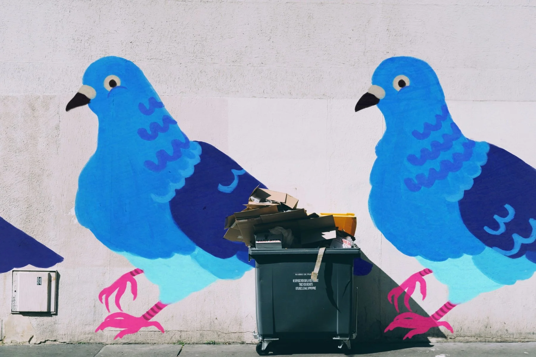 pigeon wall art mockup