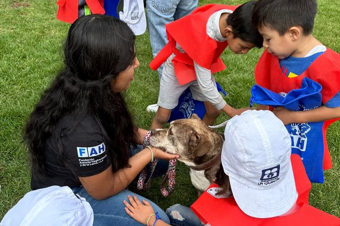 Rally Animalista con Fundación Haghenbeck en Brigada Animal
