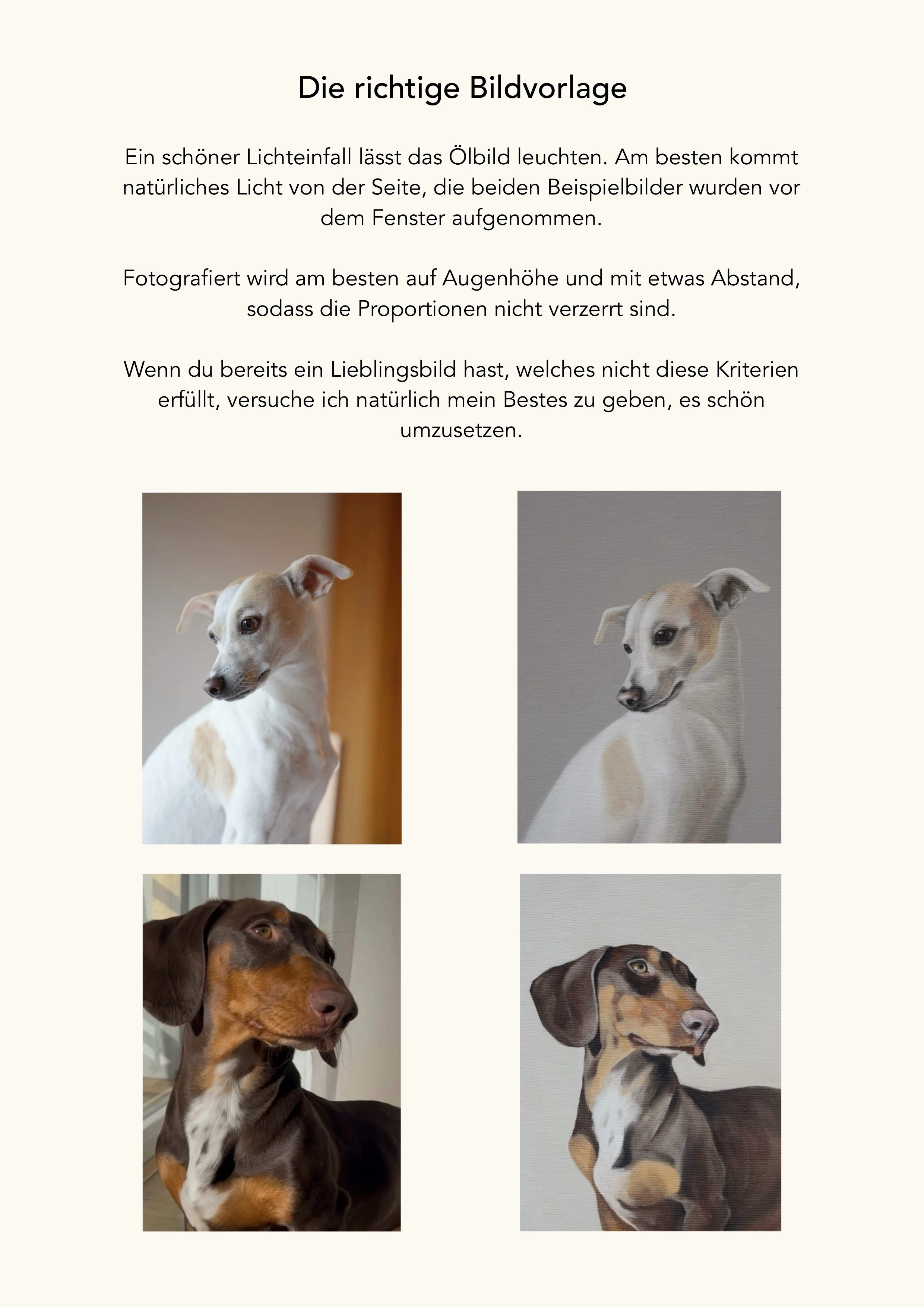 Unbenanntes_Projekt 7.jpg