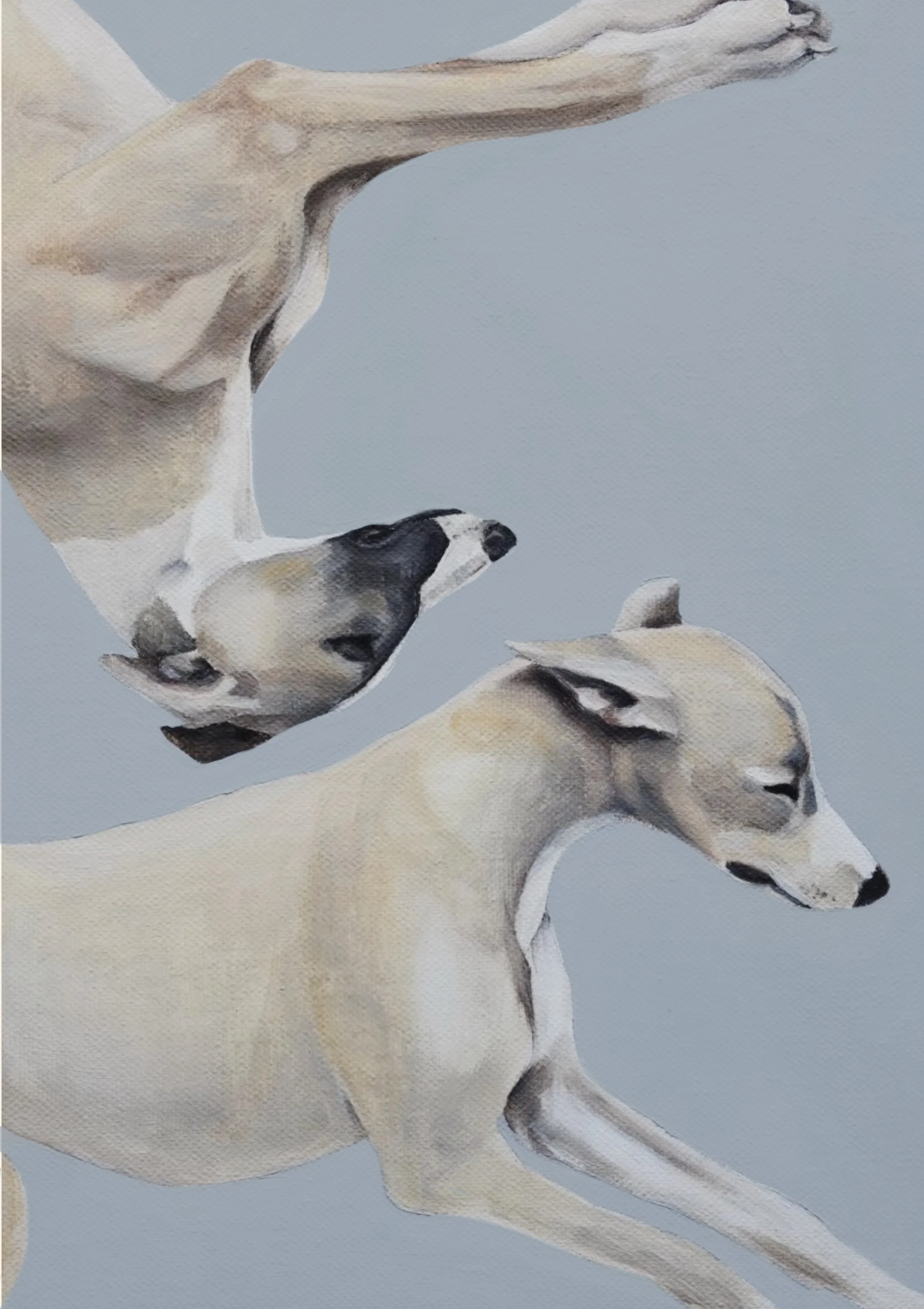 Unbenanntes_Projekt 3.JPG