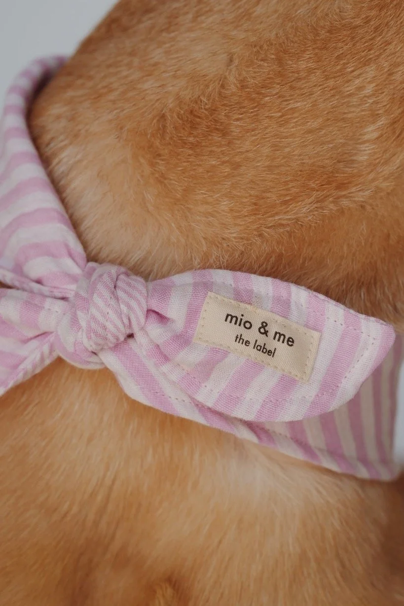 DSC05505_VSCO 2.jpeg