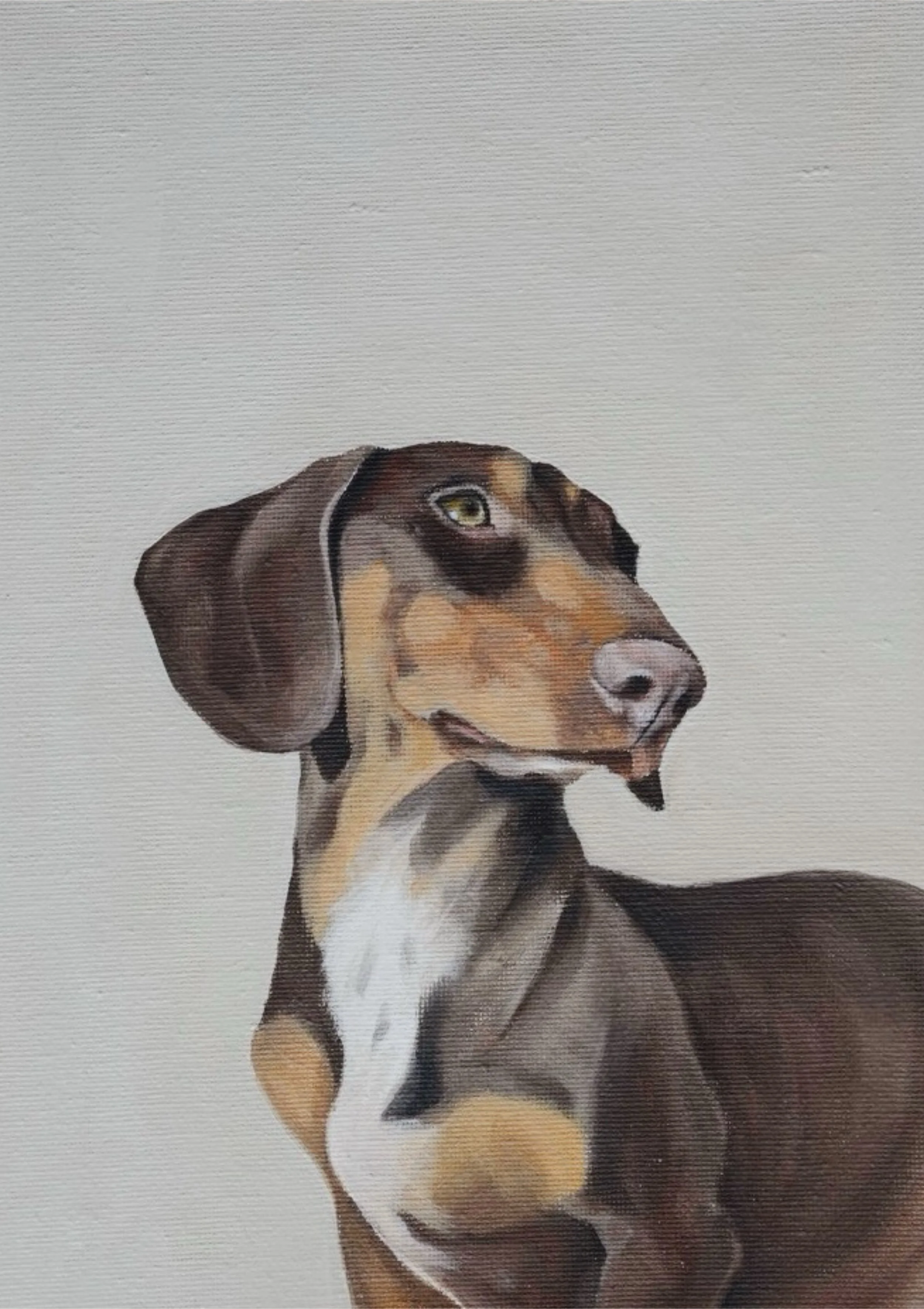 Unbenanntes_Projekt 2.JPG