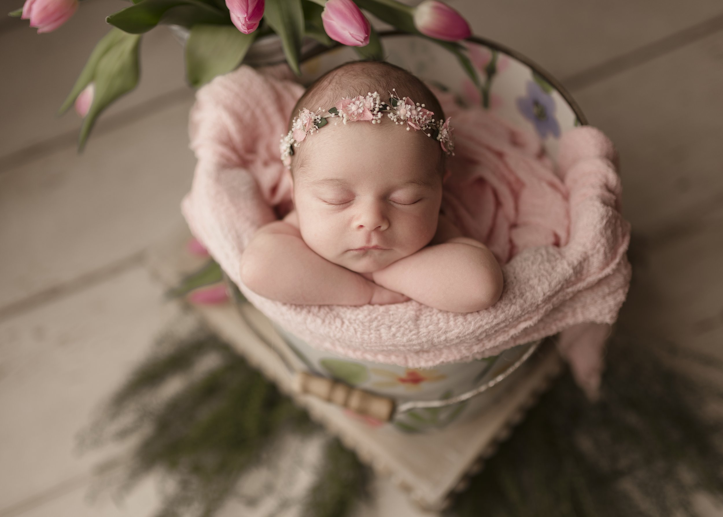 studio newborn photos cumberland rhode island