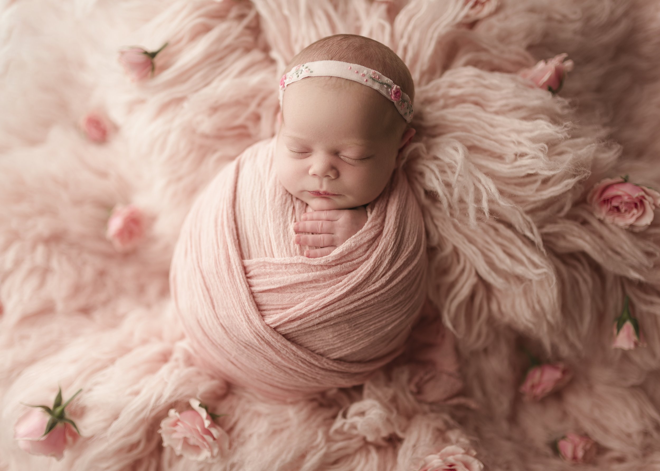 newborn photography in providence ri