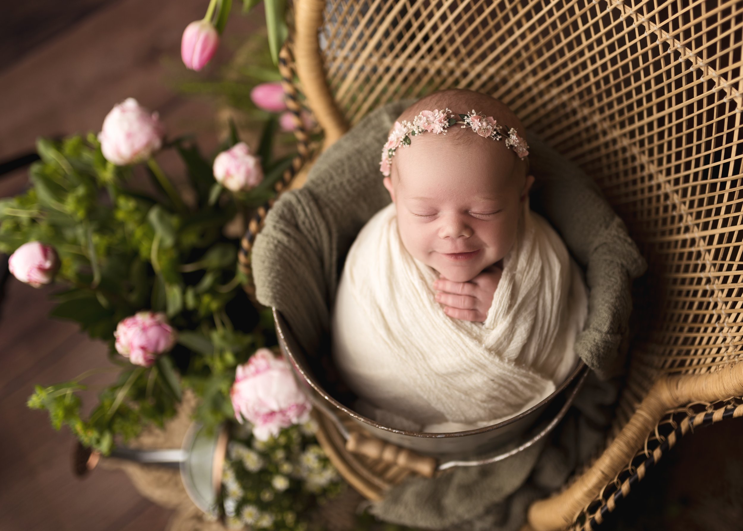 newborn photography in warwick ri
