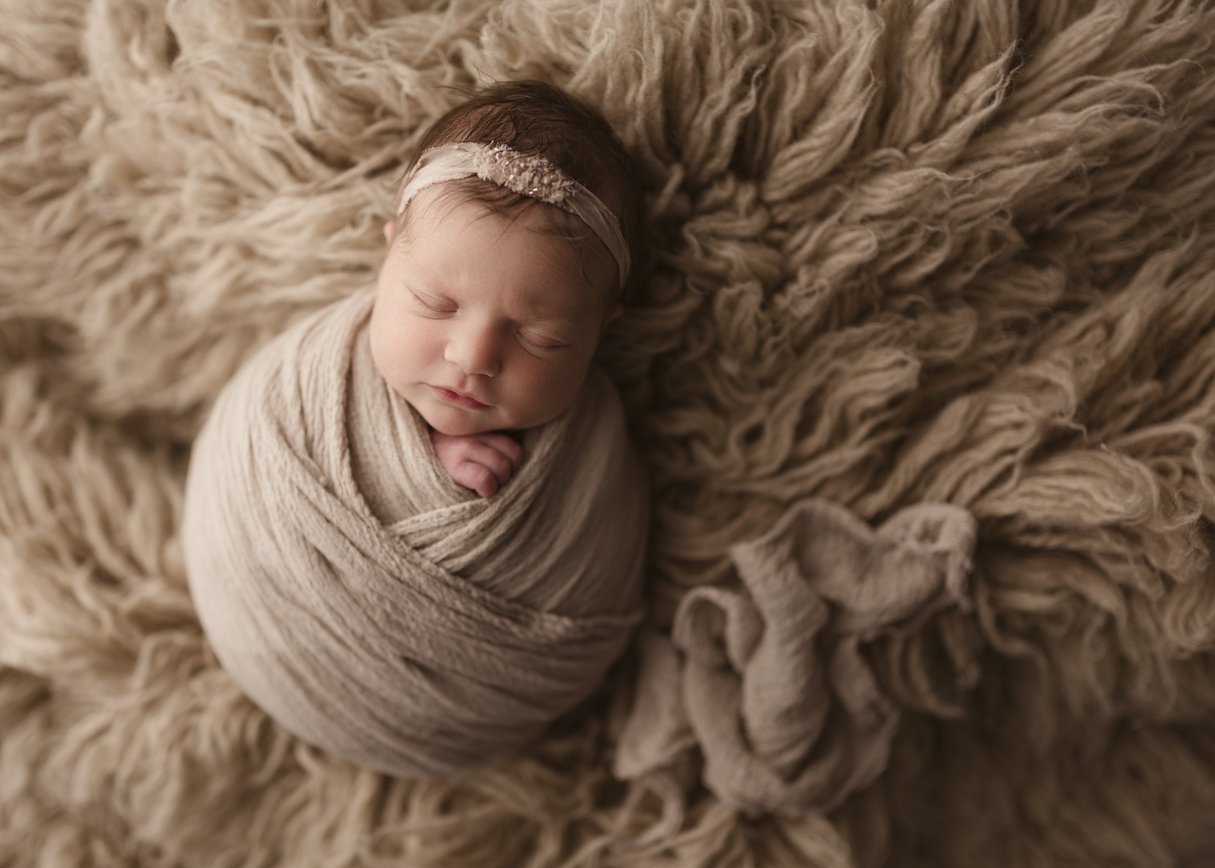 rhode island newborn photo shoot
