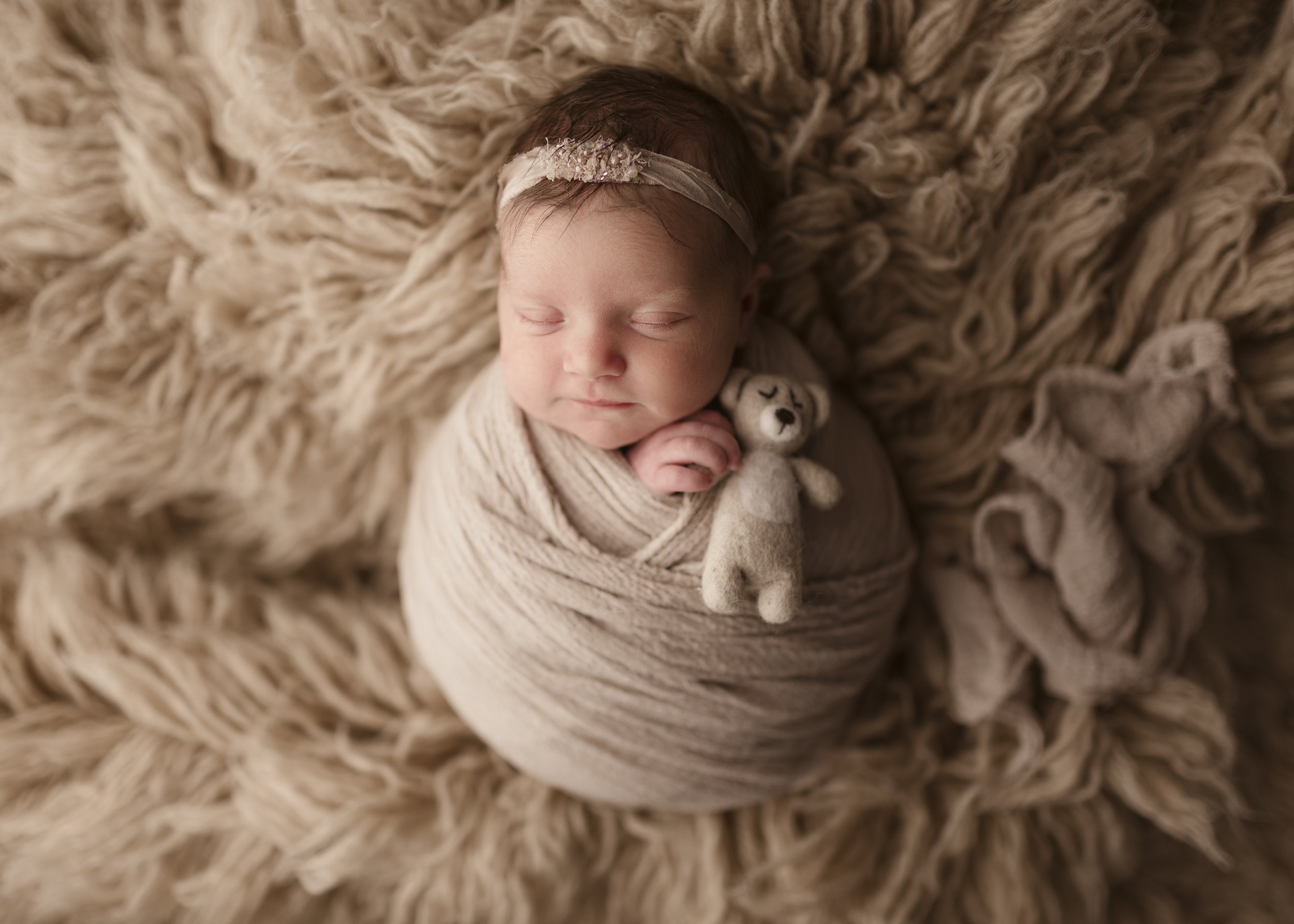 warwick rhode island newborn photo shoot