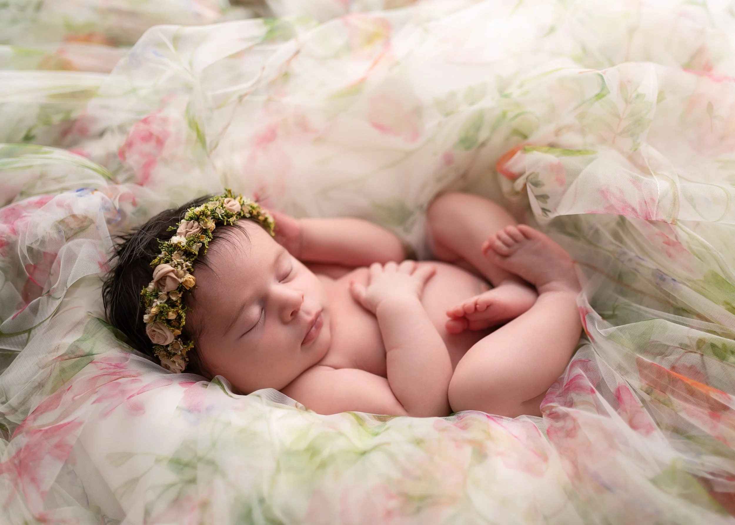 family photographer Rhode Island