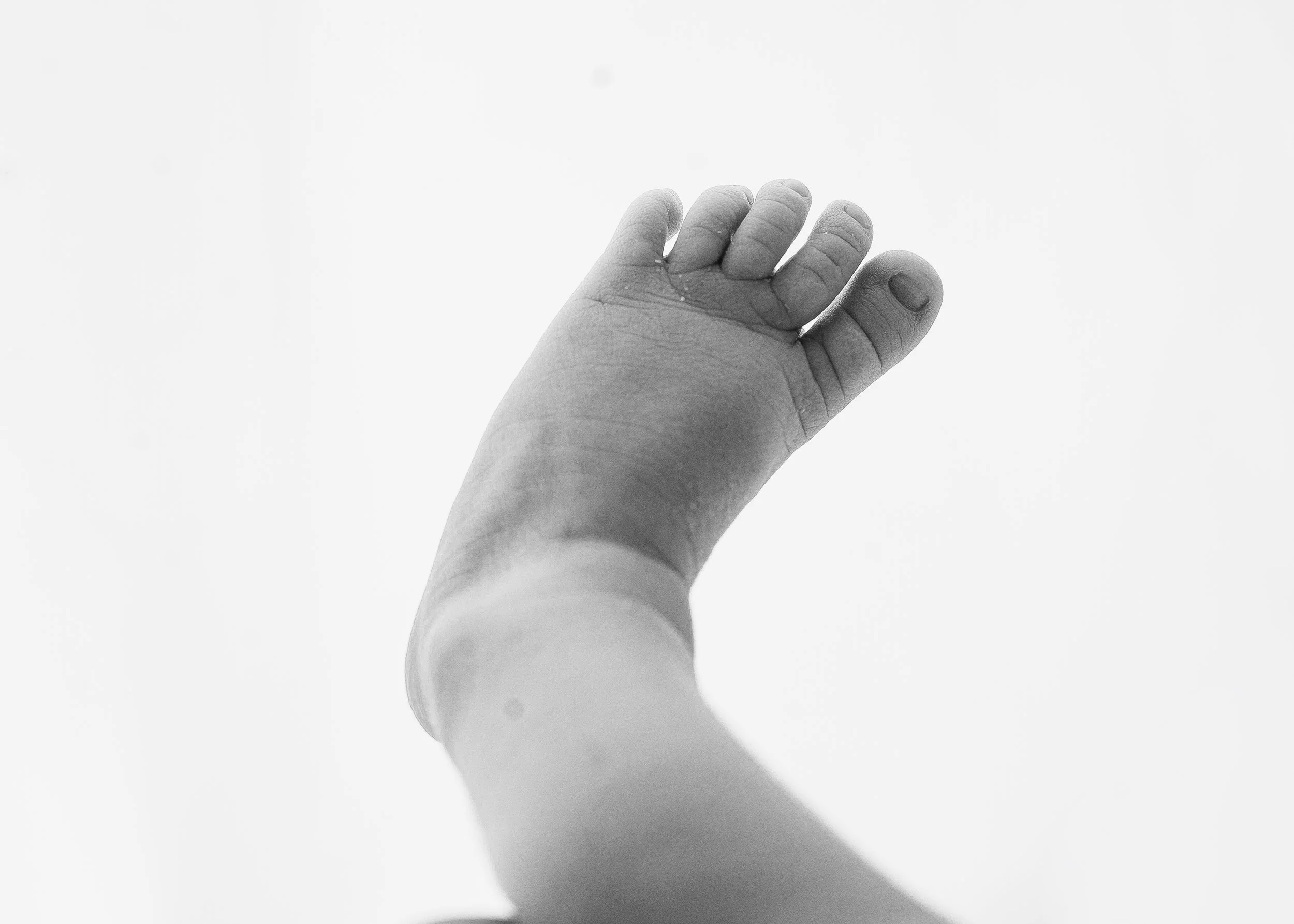 newborn and family photography Rhode Island