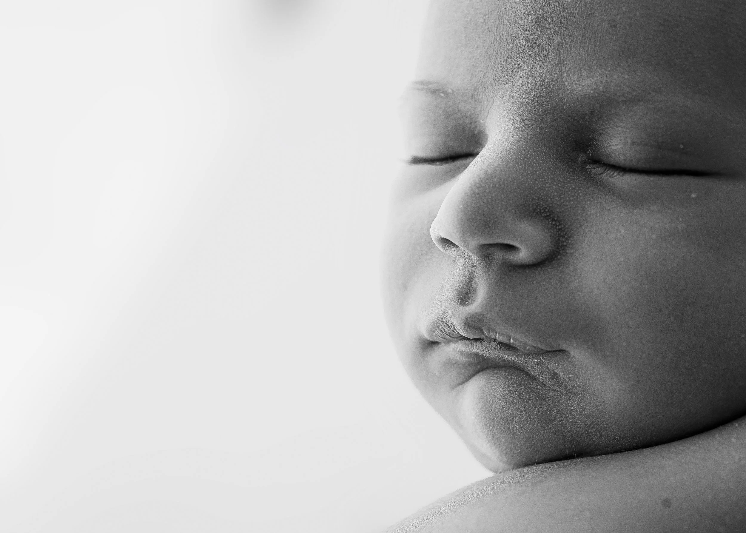newborn portrait photographer RI