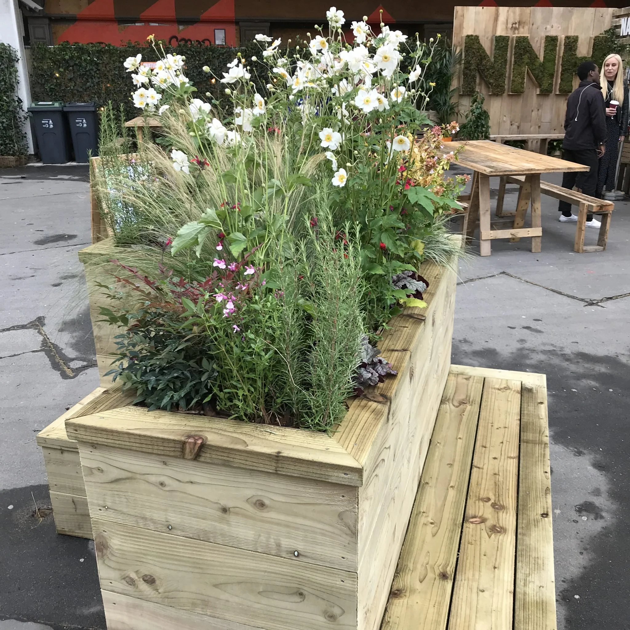 Thornton Heath With Timberland